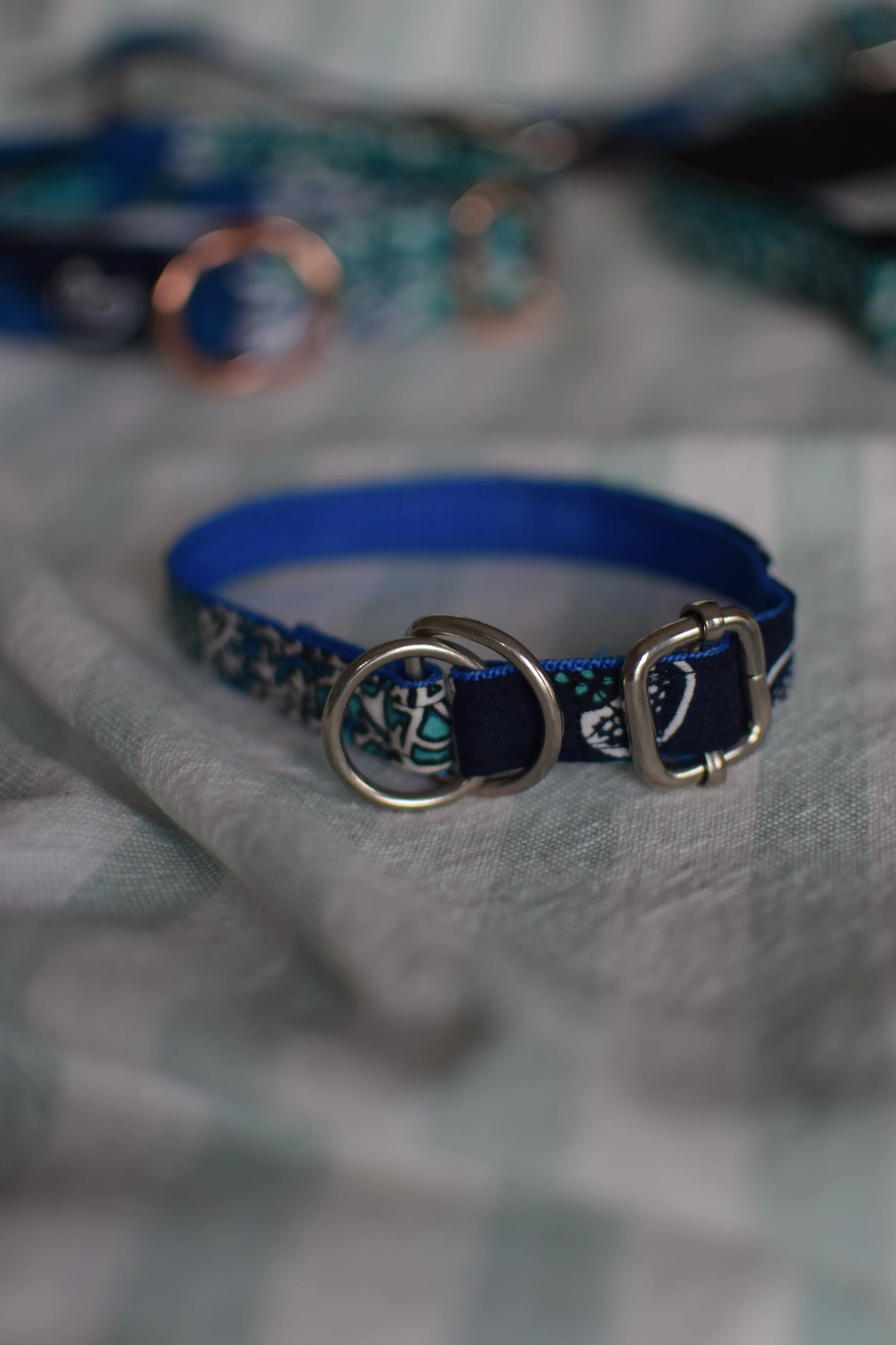 underwater DSC_0492.JPG