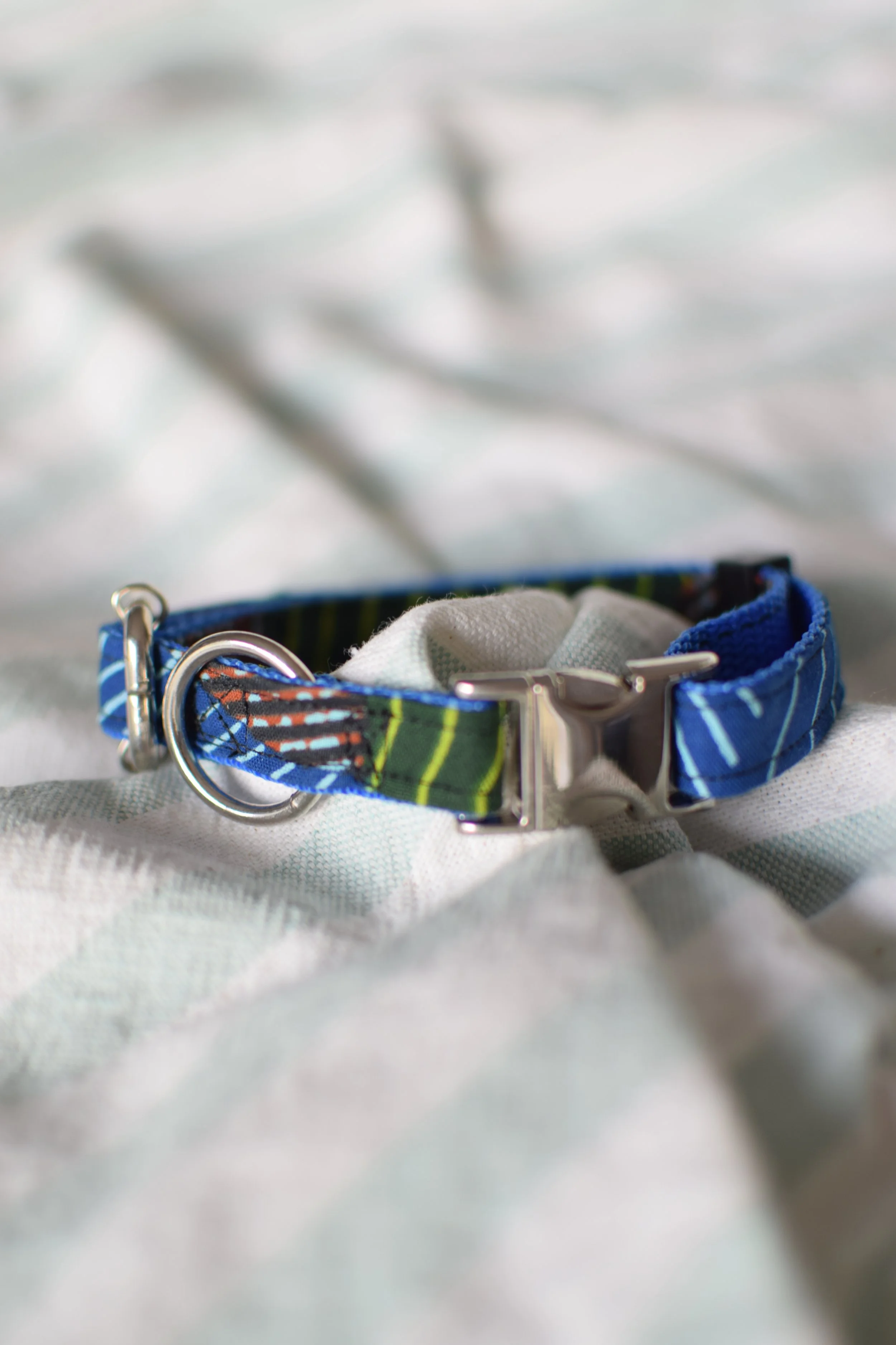 green desert DSC_0385.JPG