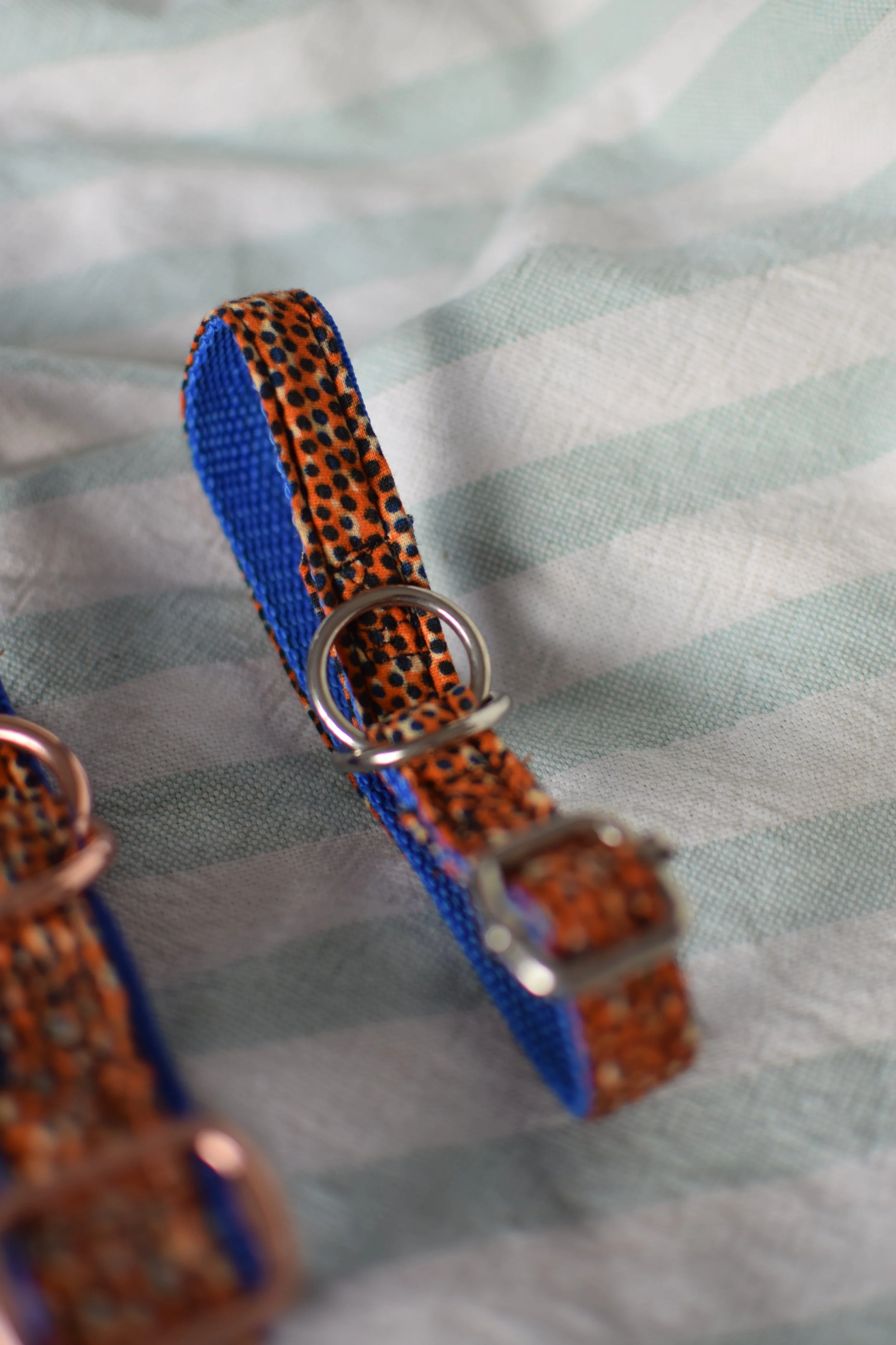 Sprinkled Sunset DSC_0431.JPG