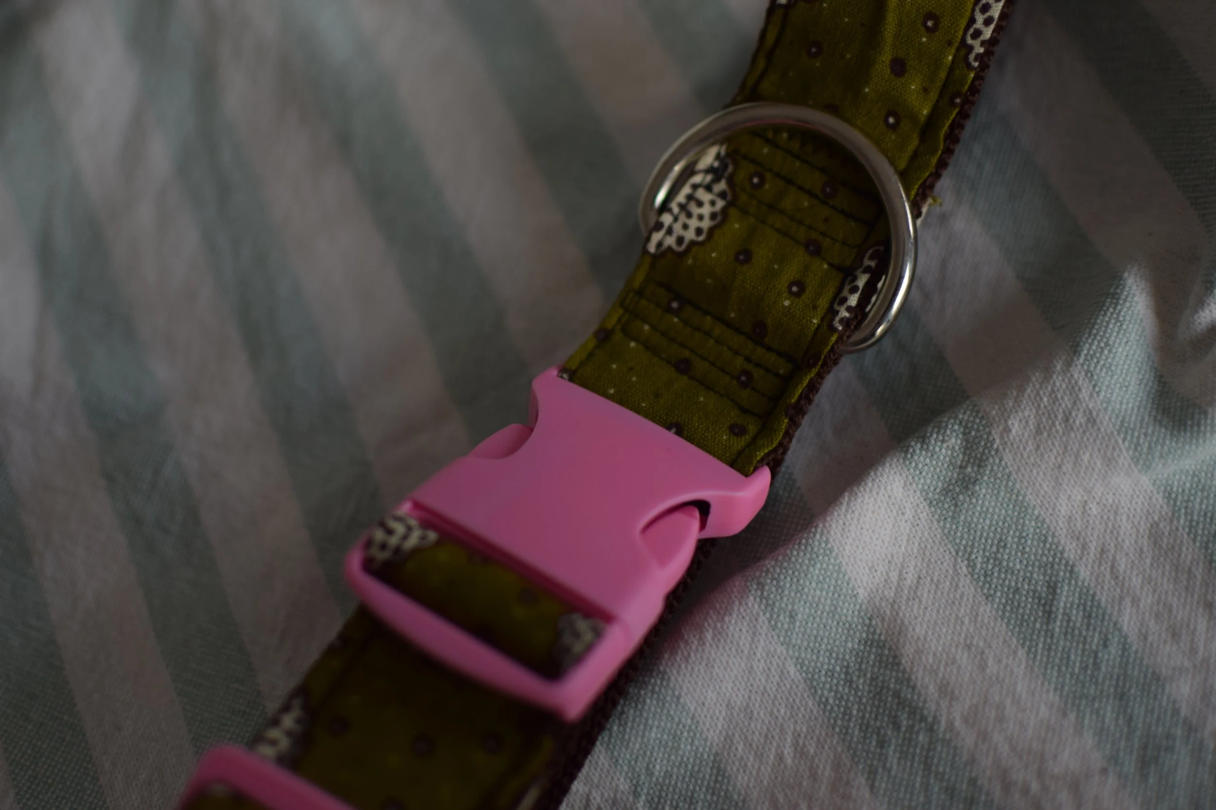 moss green collar DSC_0500.JPG