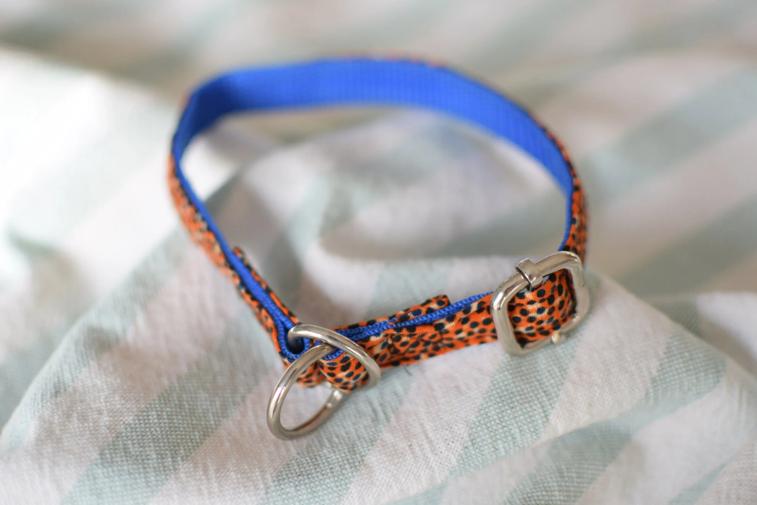 Sprinkled Sunset DSC_0251.JPG