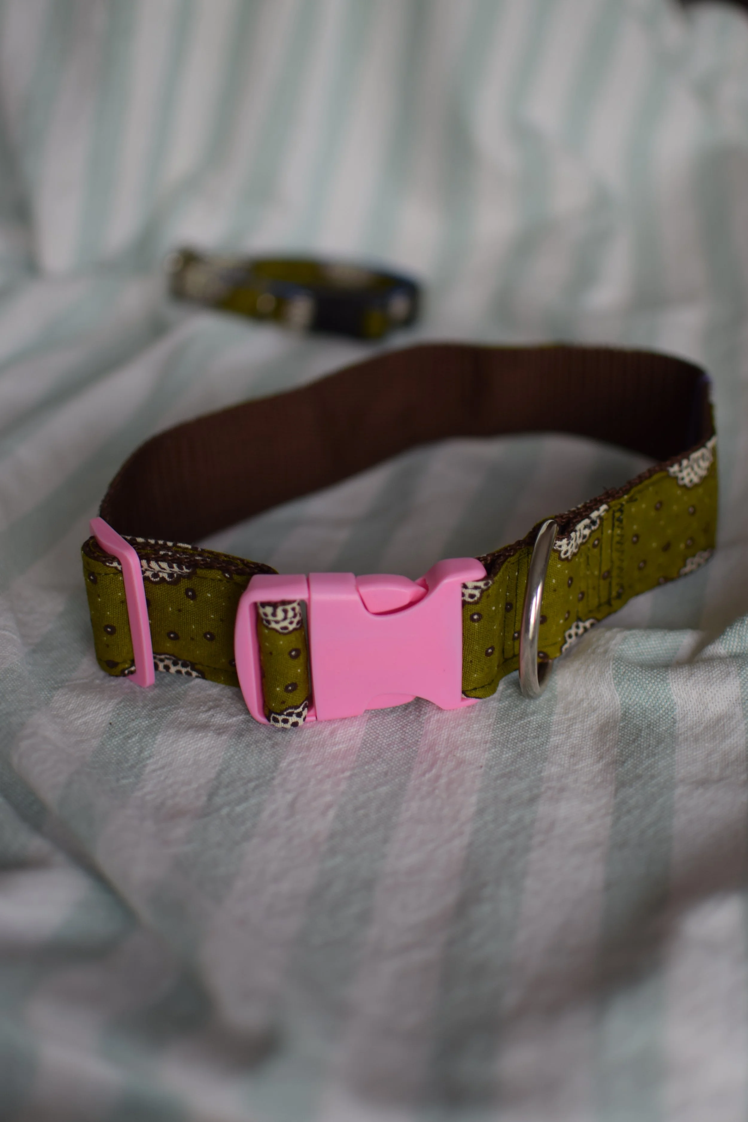 moss green collar DSC_0496.JPG