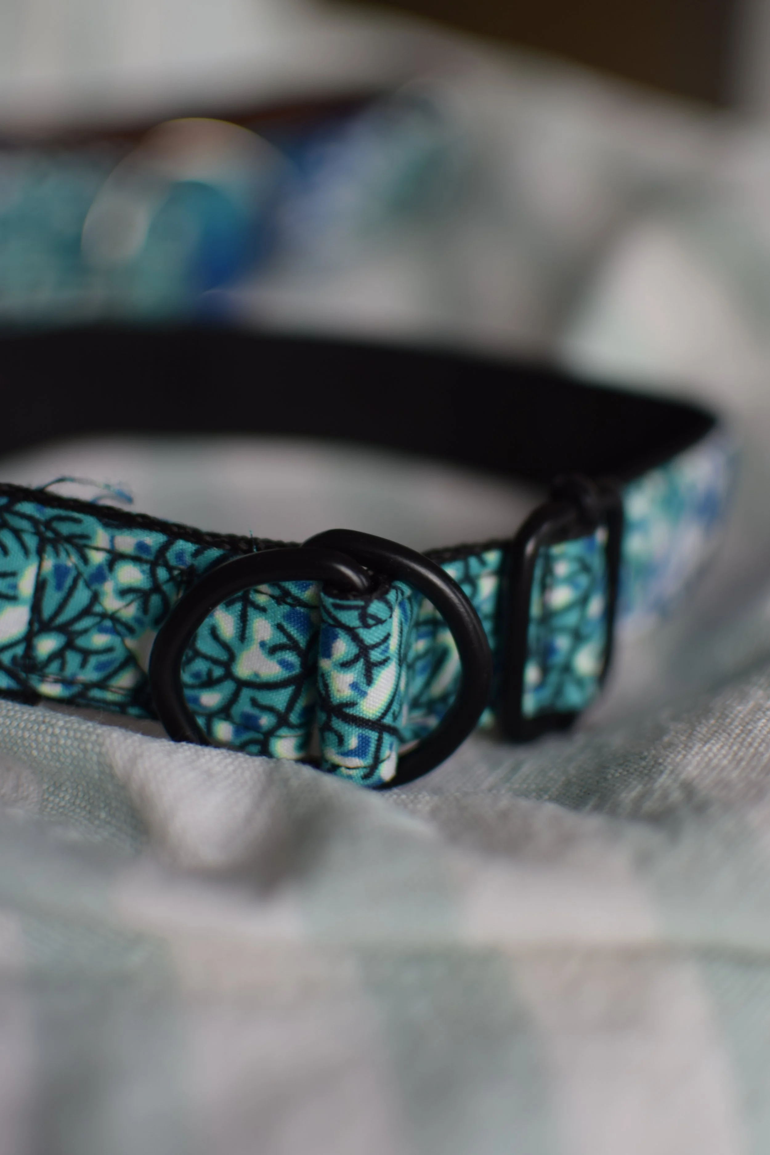 underwater DSC_0485.JPG