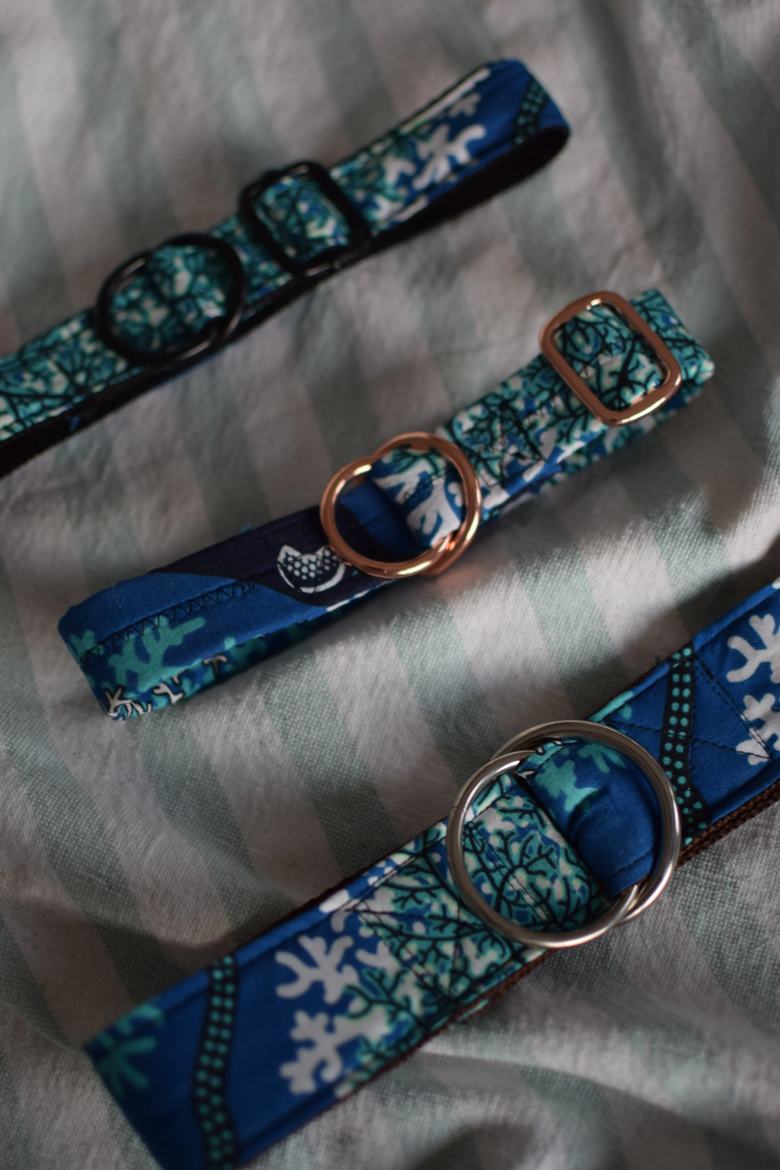 underwater DSC_0478.JPG