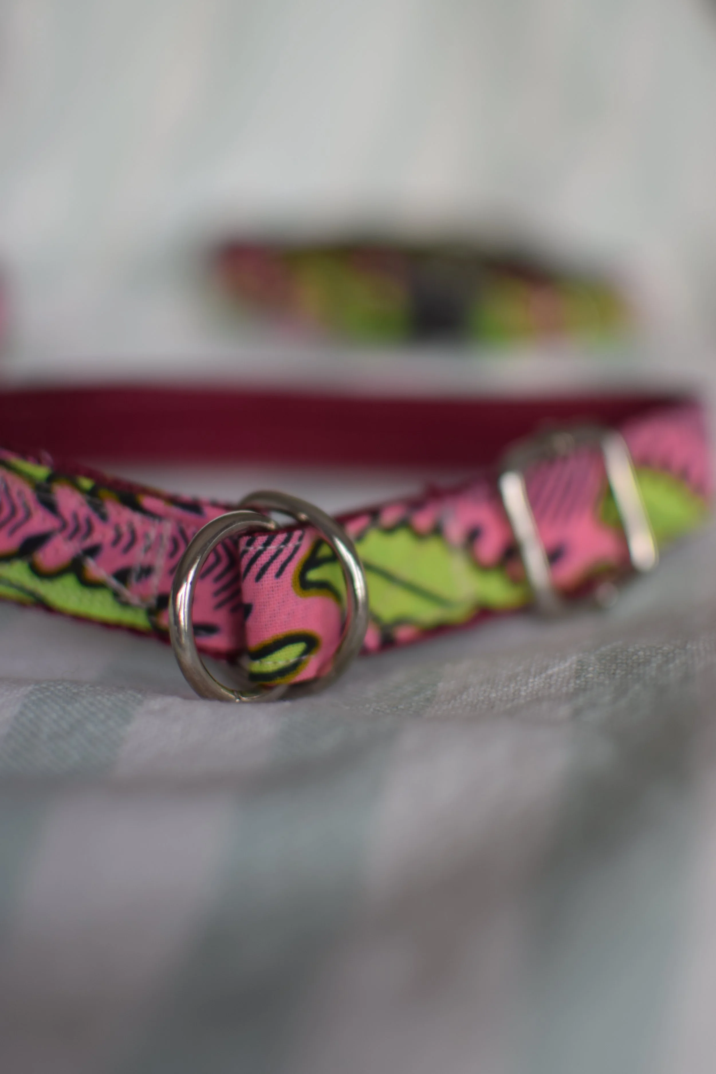 Neon Garden DSC_0463.JPG