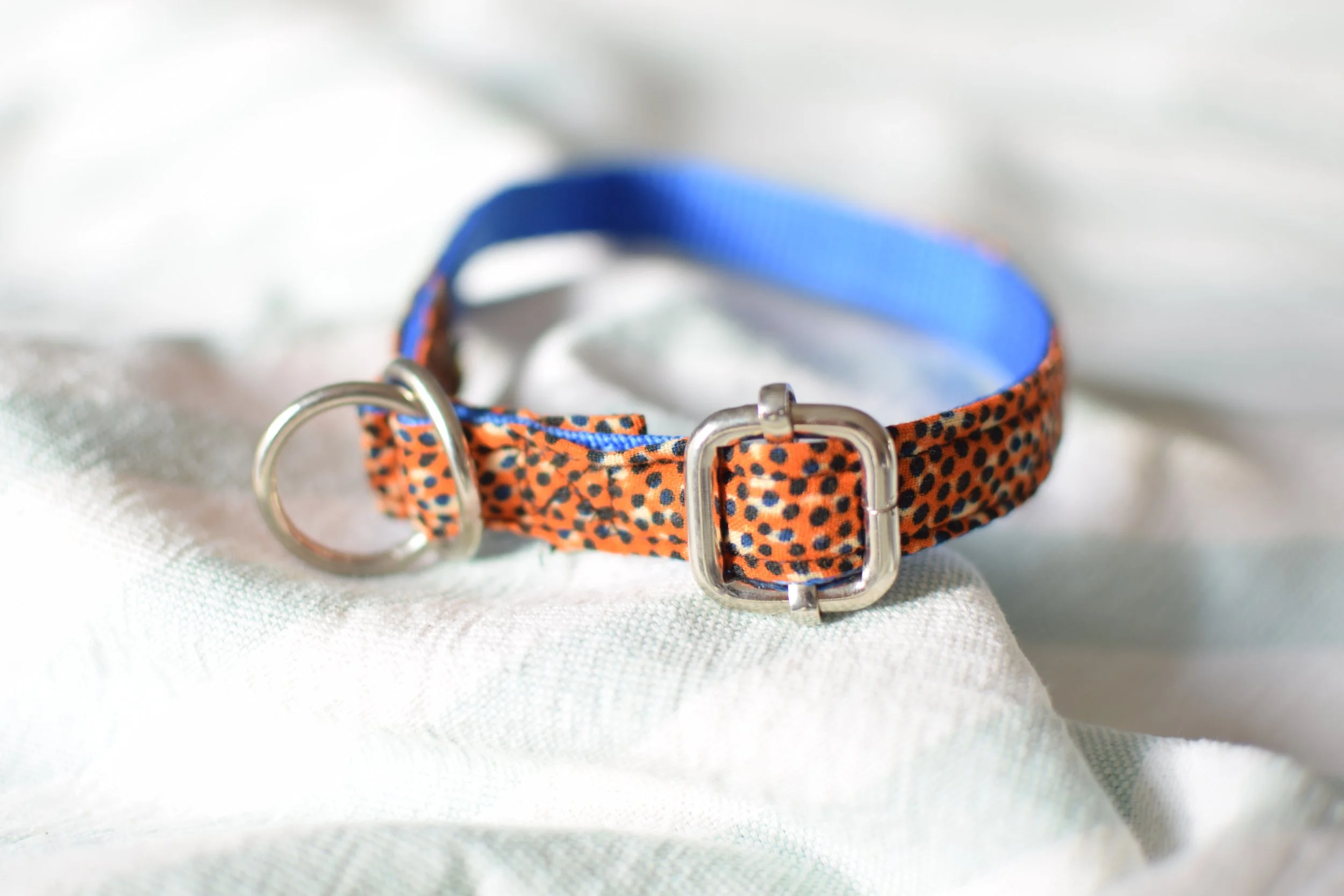 Sprinkled Sunset DSC_0253.JPG