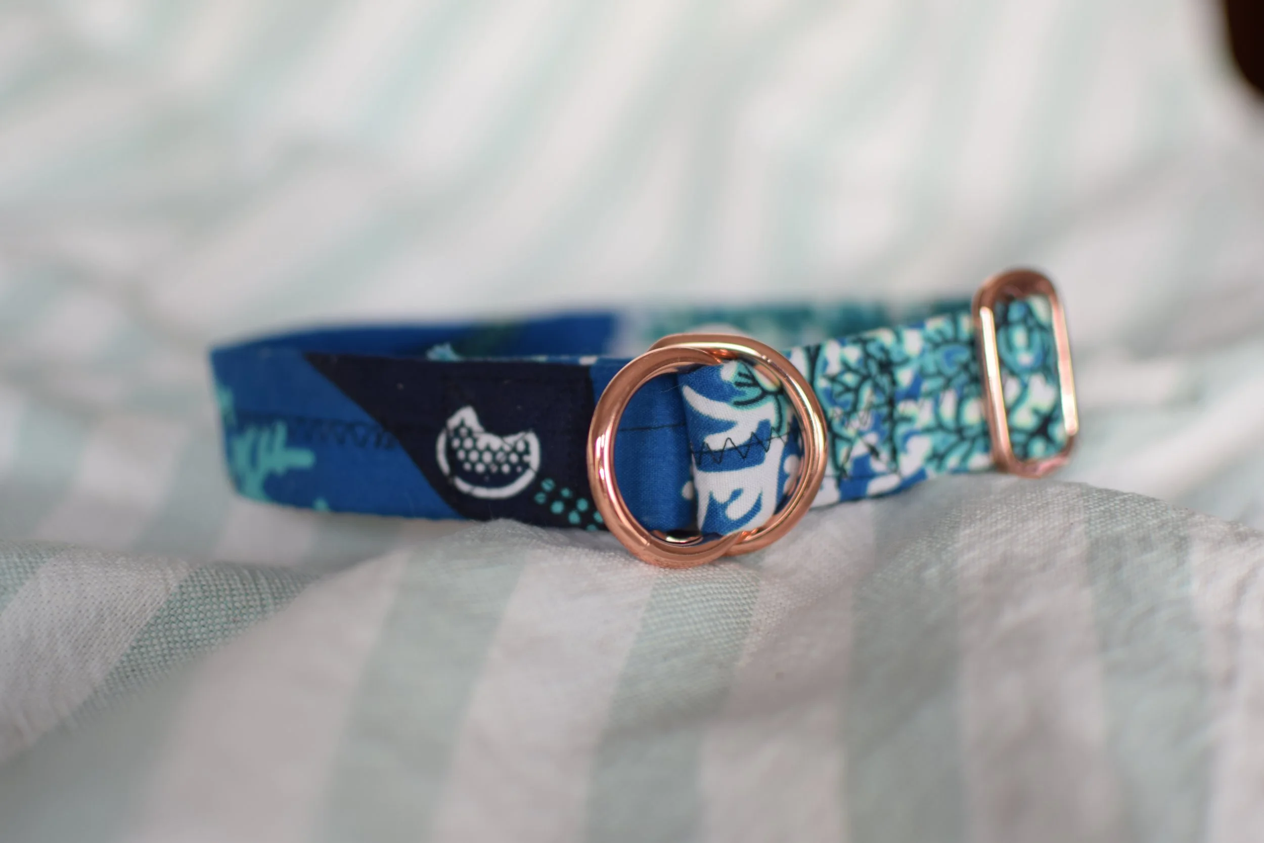 underwater DSC_0365.JPG