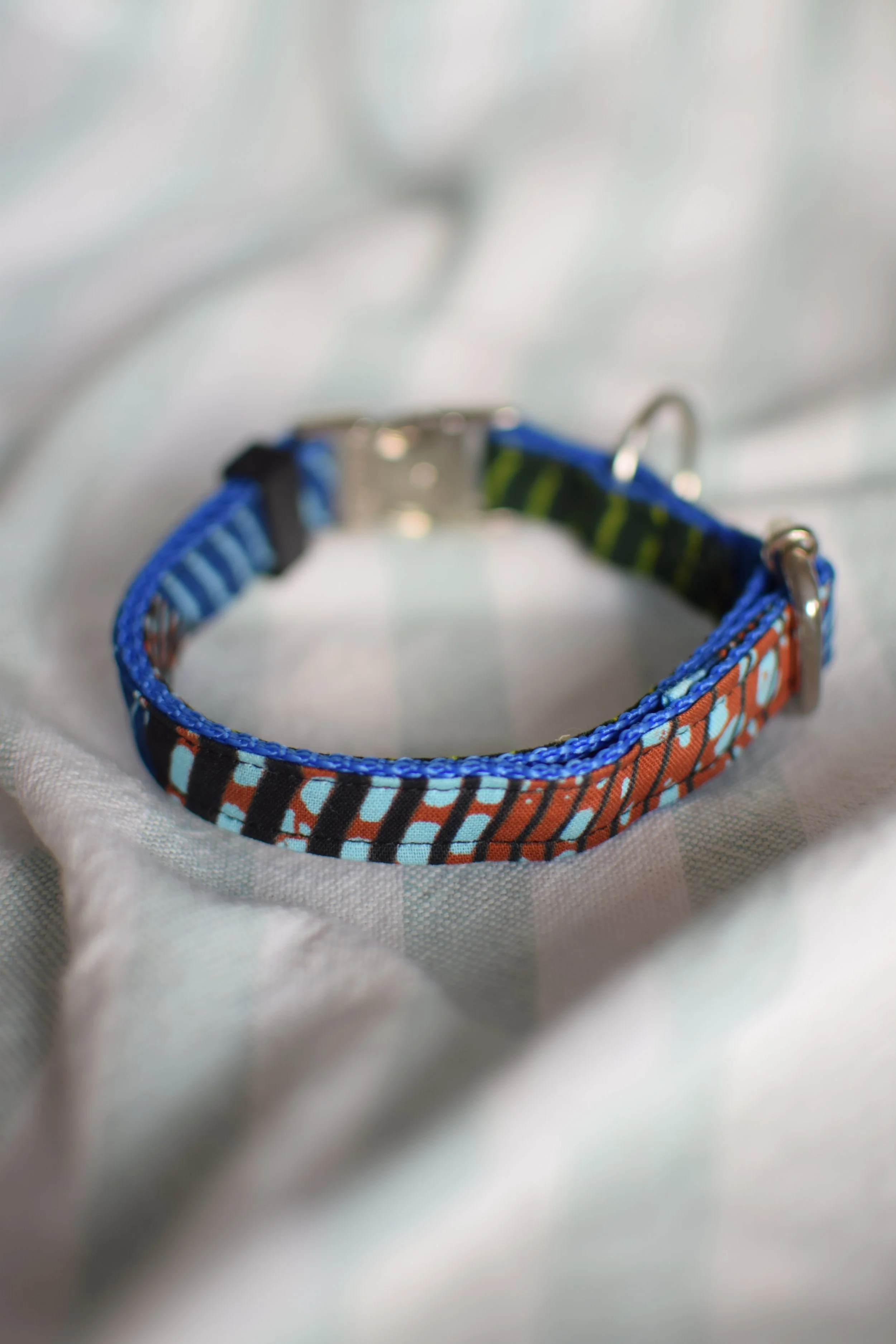 green desert DSC_0391.JPG