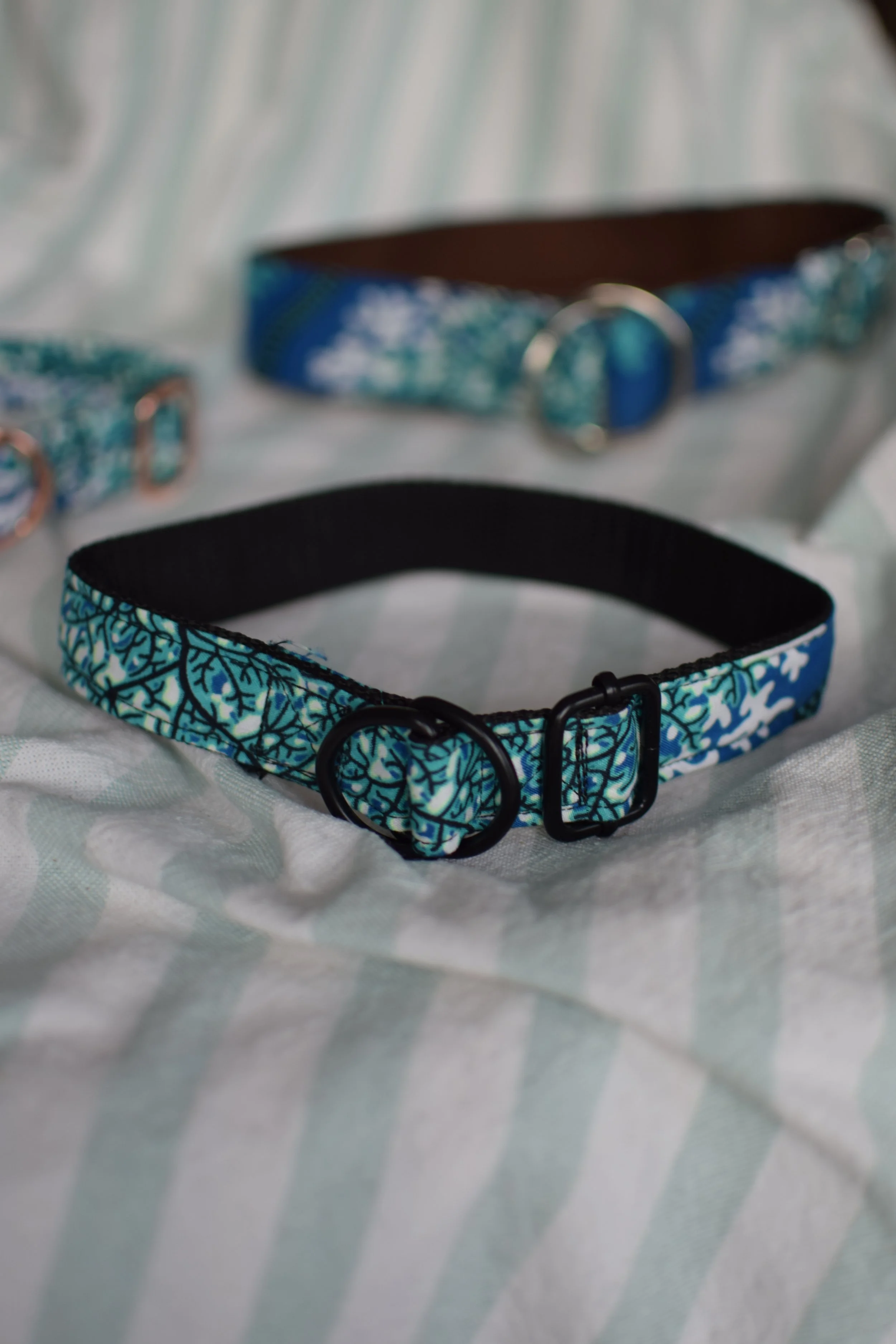 underwater DSC_0484.JPG