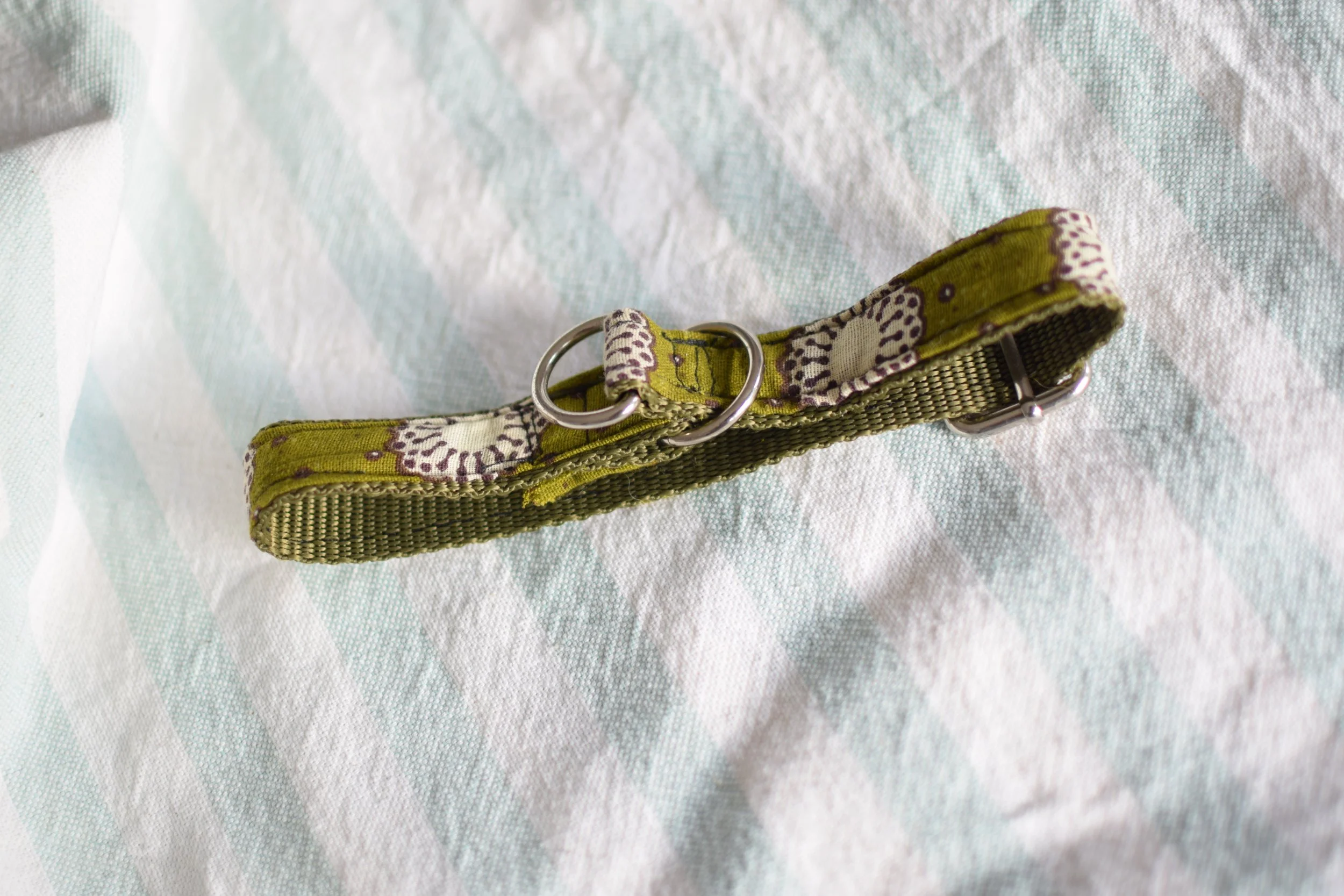 moss green collar DSC_0315.JPG