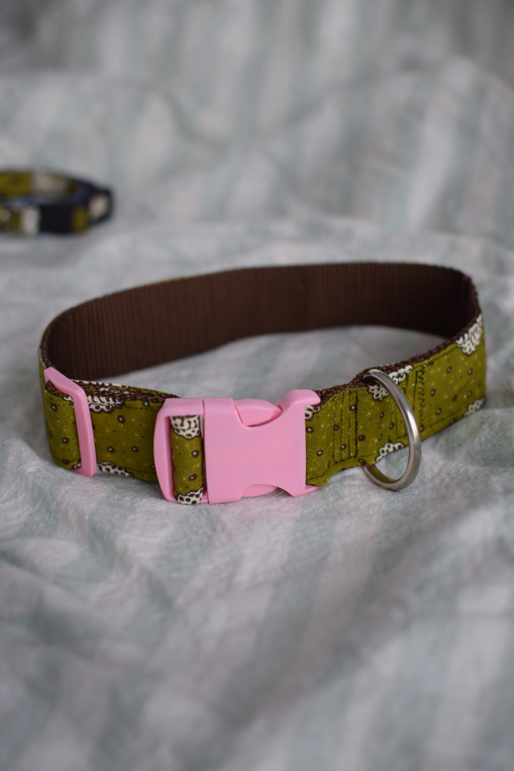 Moss green collar 17_02_2026, 20_40_21.png