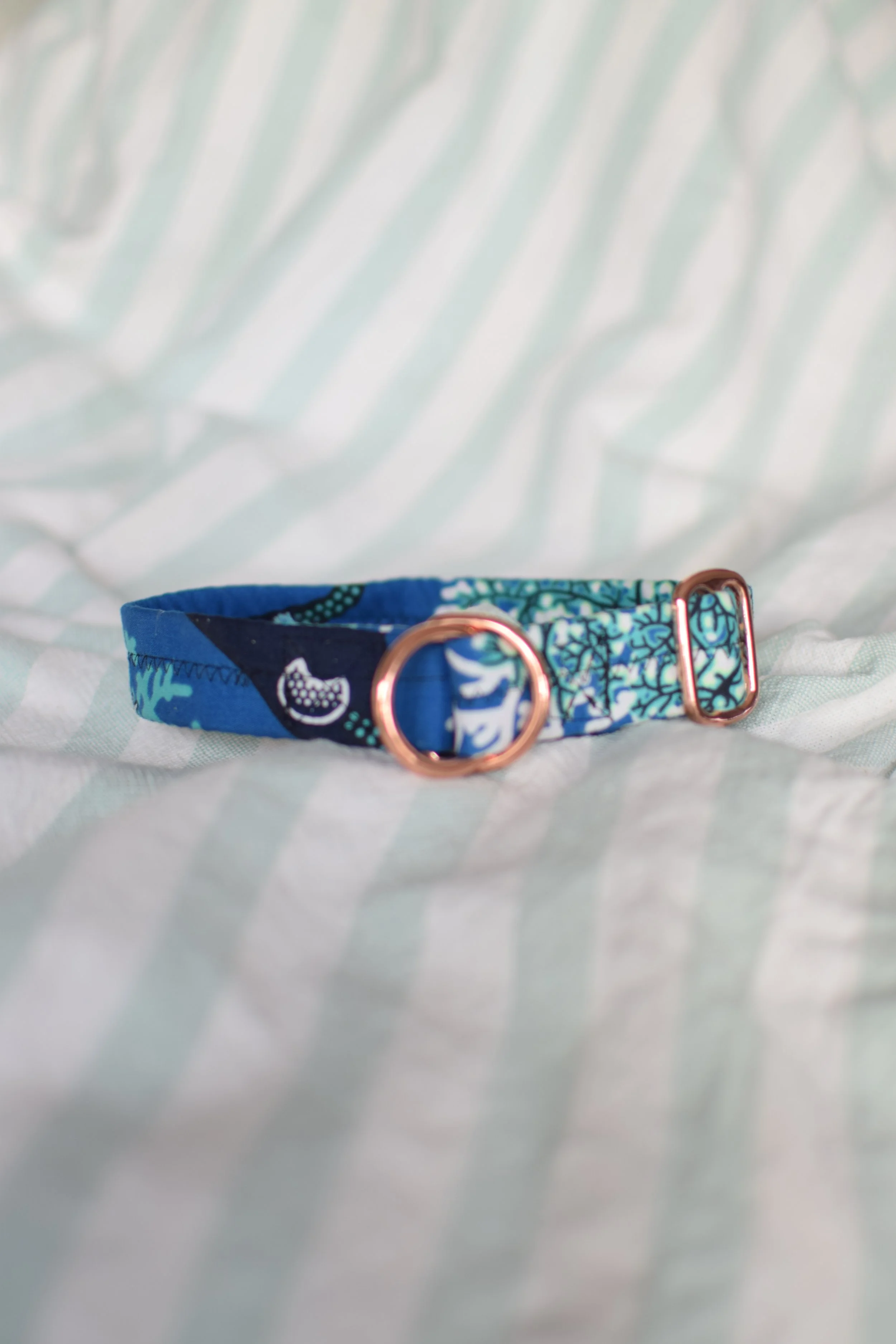 underwater DSC_0364.JPG