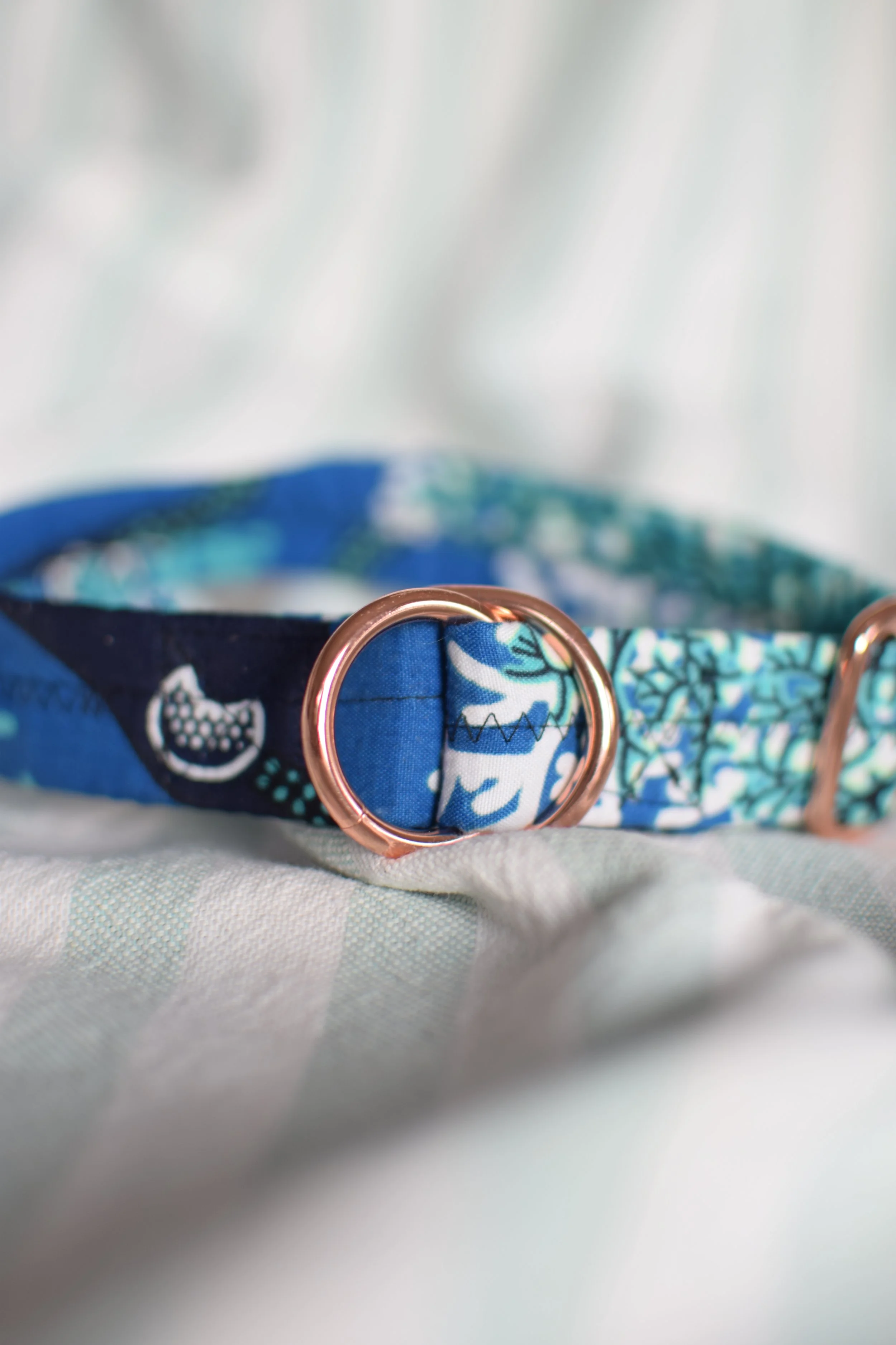 underwater DSC_0370.JPG