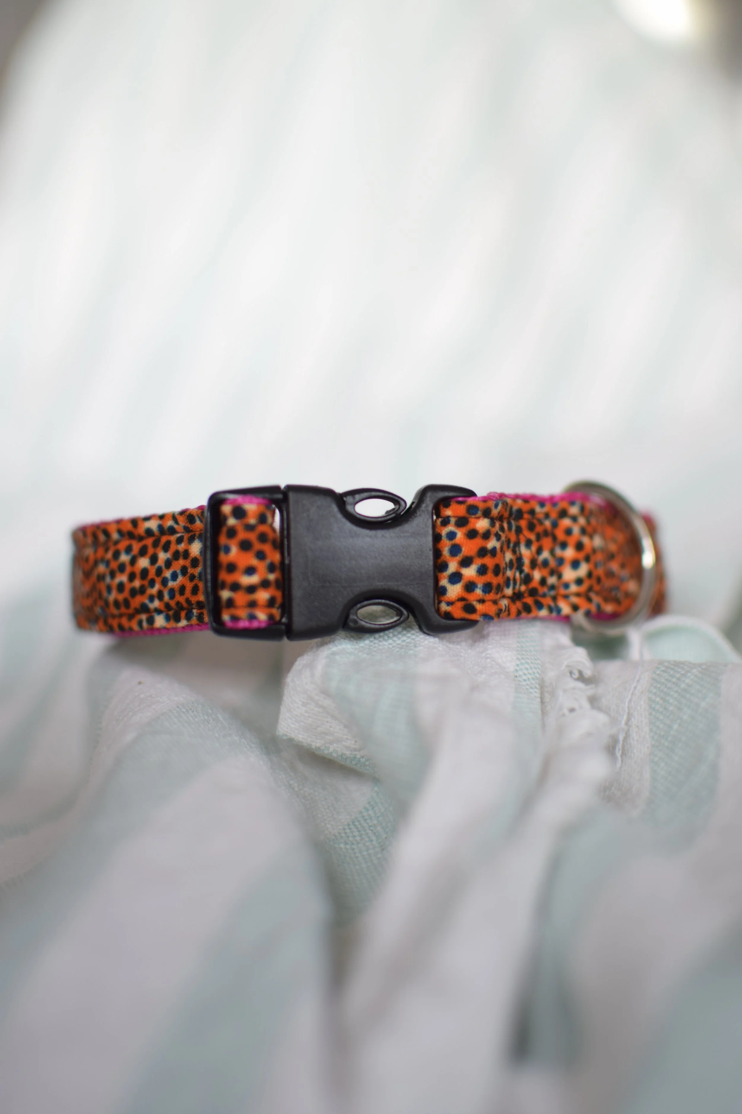 Sprinkled Sunset DSC_0338.JPG