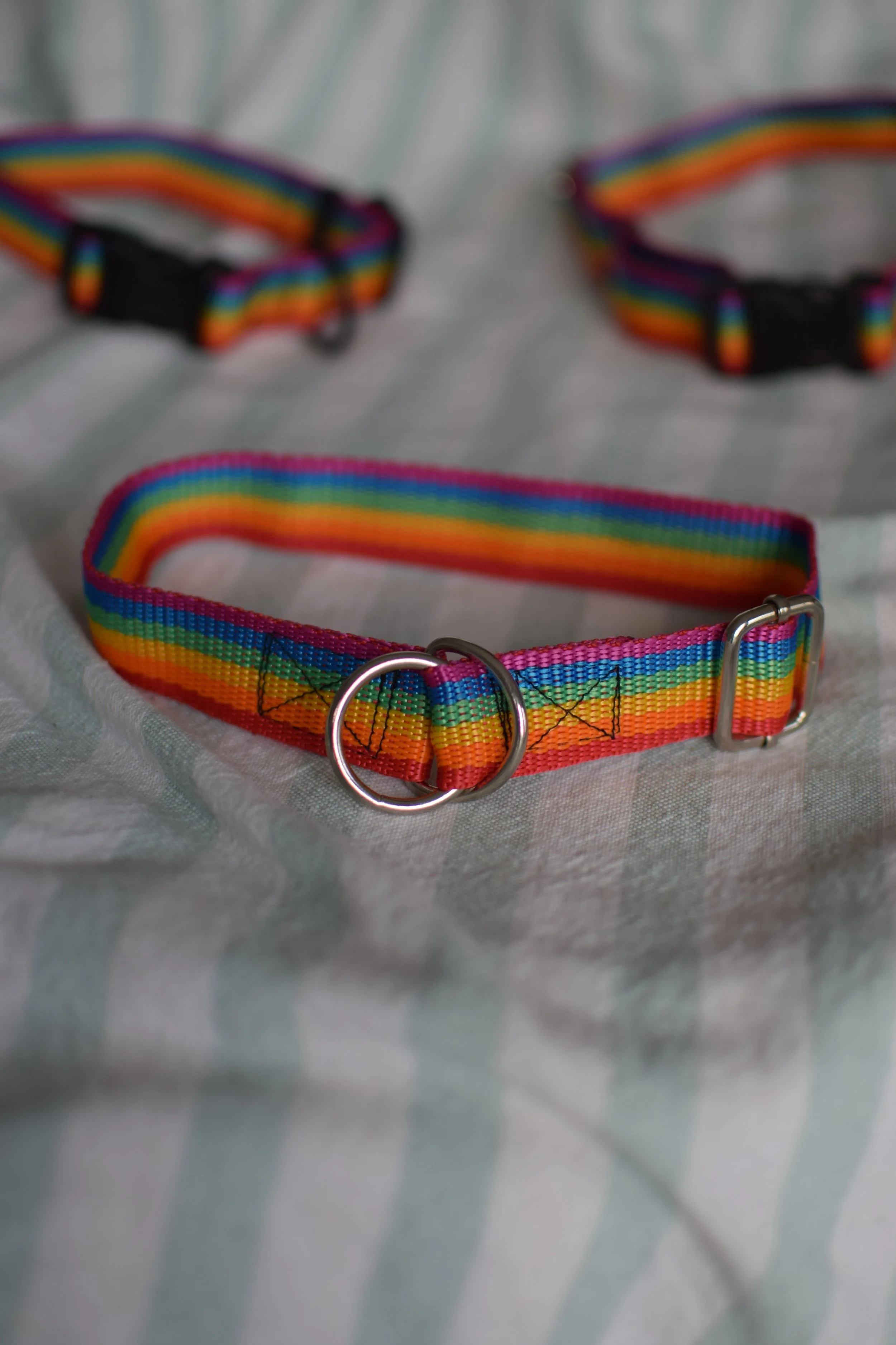 rainbow collar DSC_0542.JPG