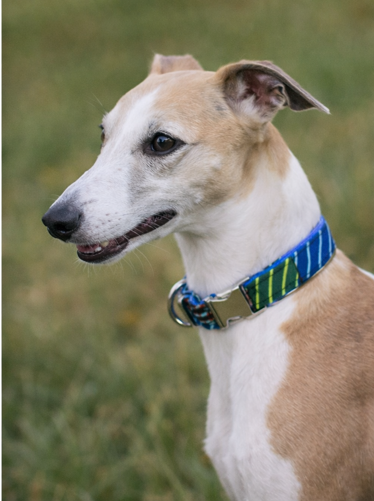 green desert 19_02_2026, 17_52_3.PNG