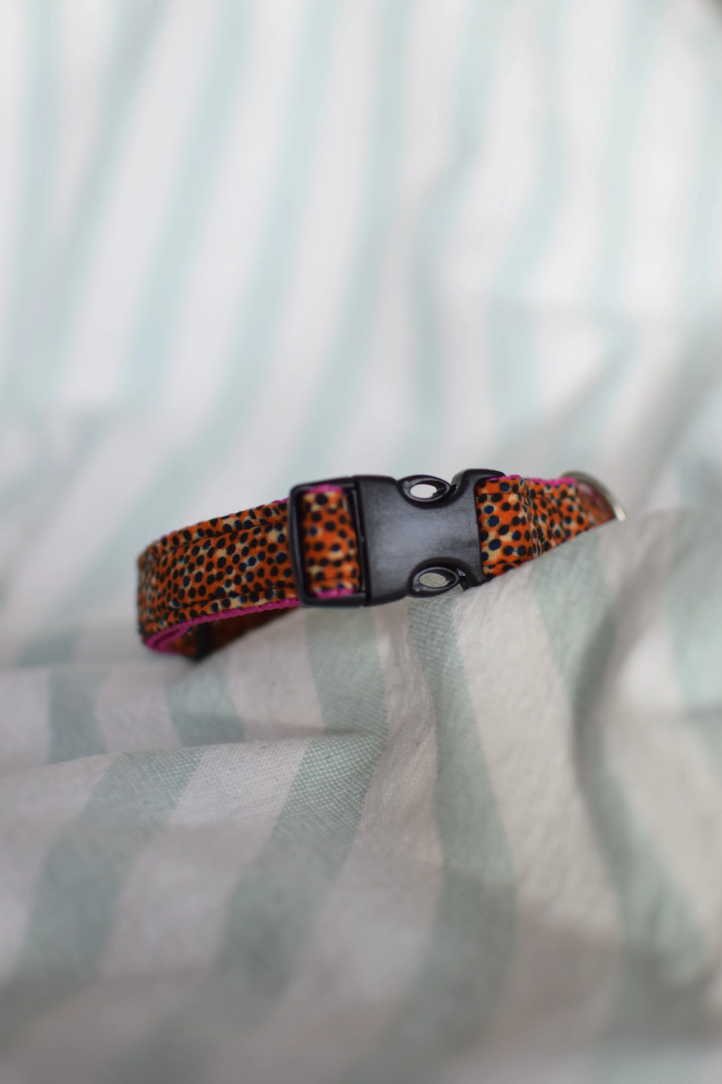 Sprinkled Sunset DSC_0337.JPG