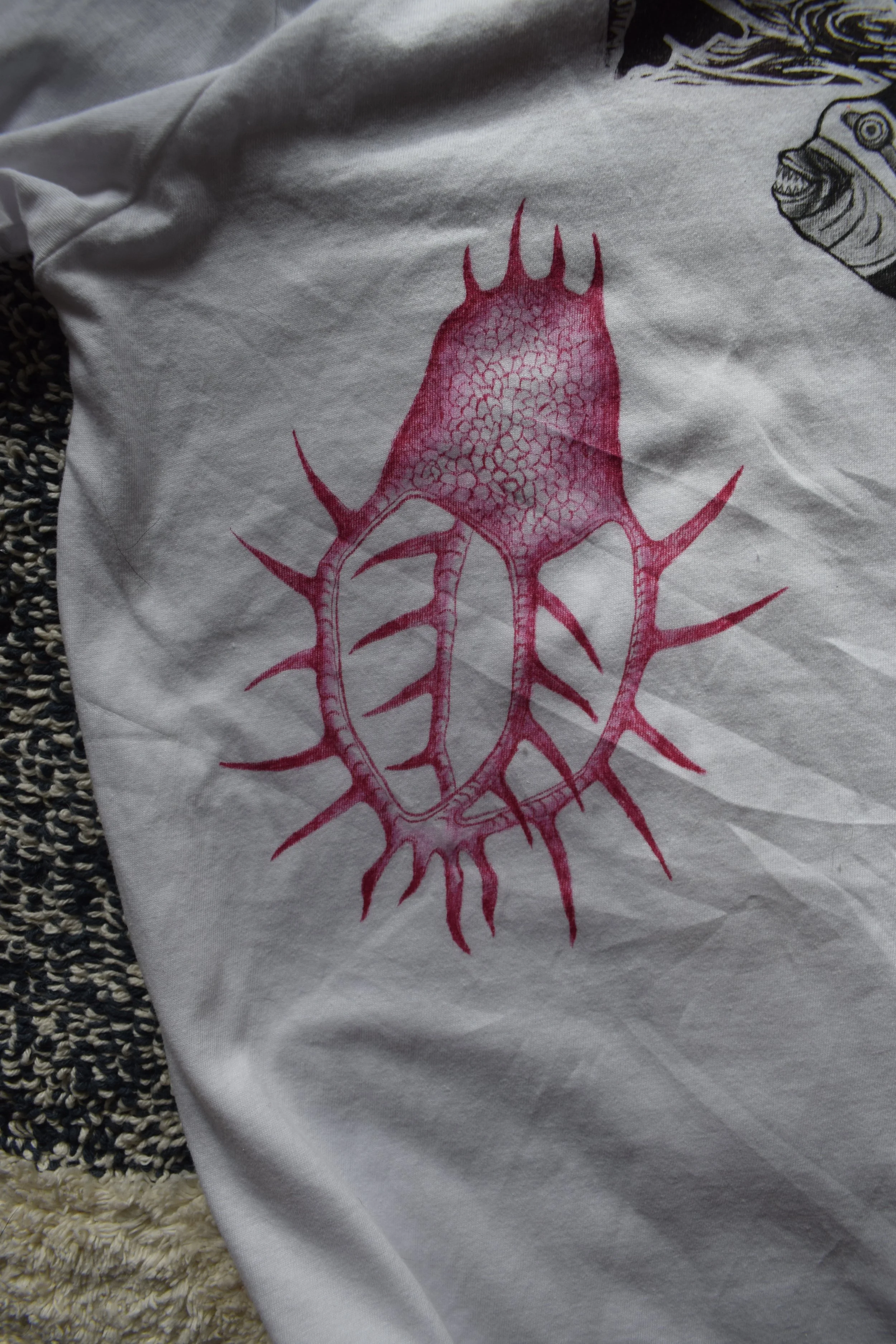 Dolphin Shirt White28.JPG