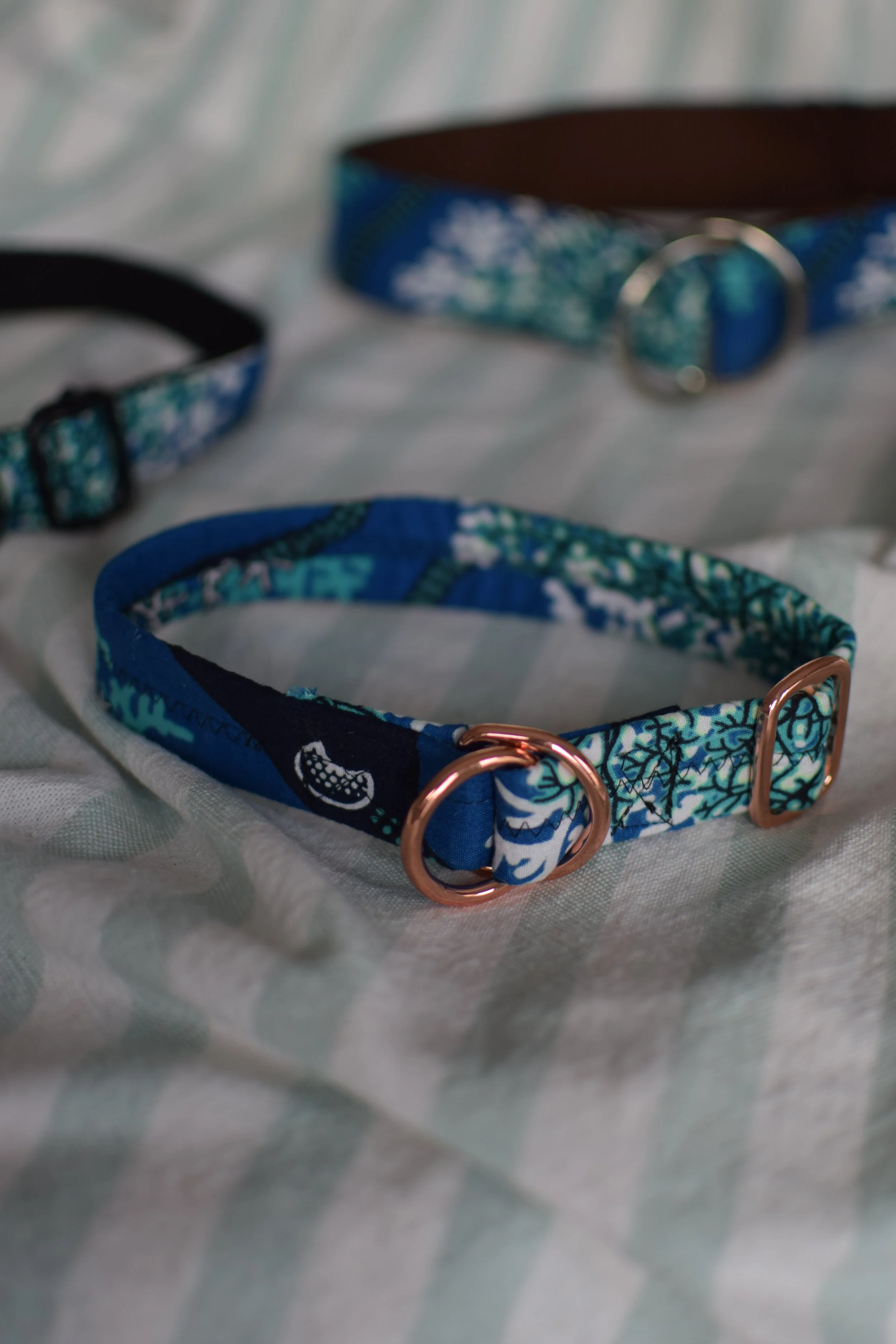 underwater DSC_0481.JPG