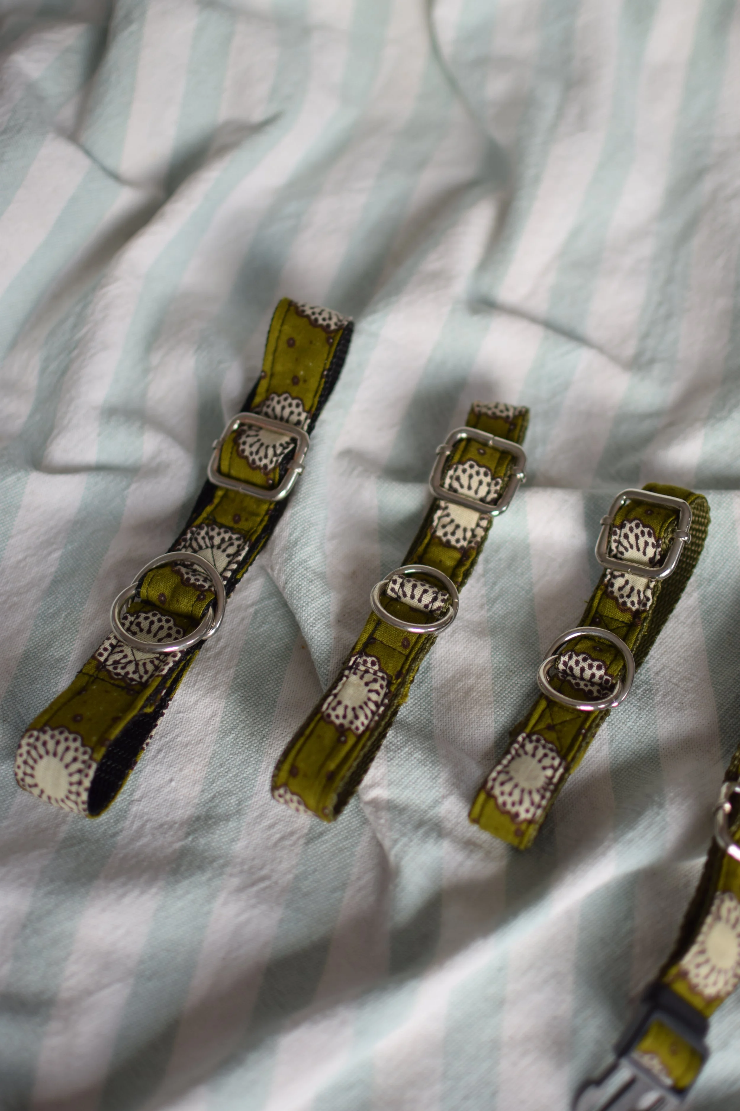 moss green collar DSC_0404.JPG