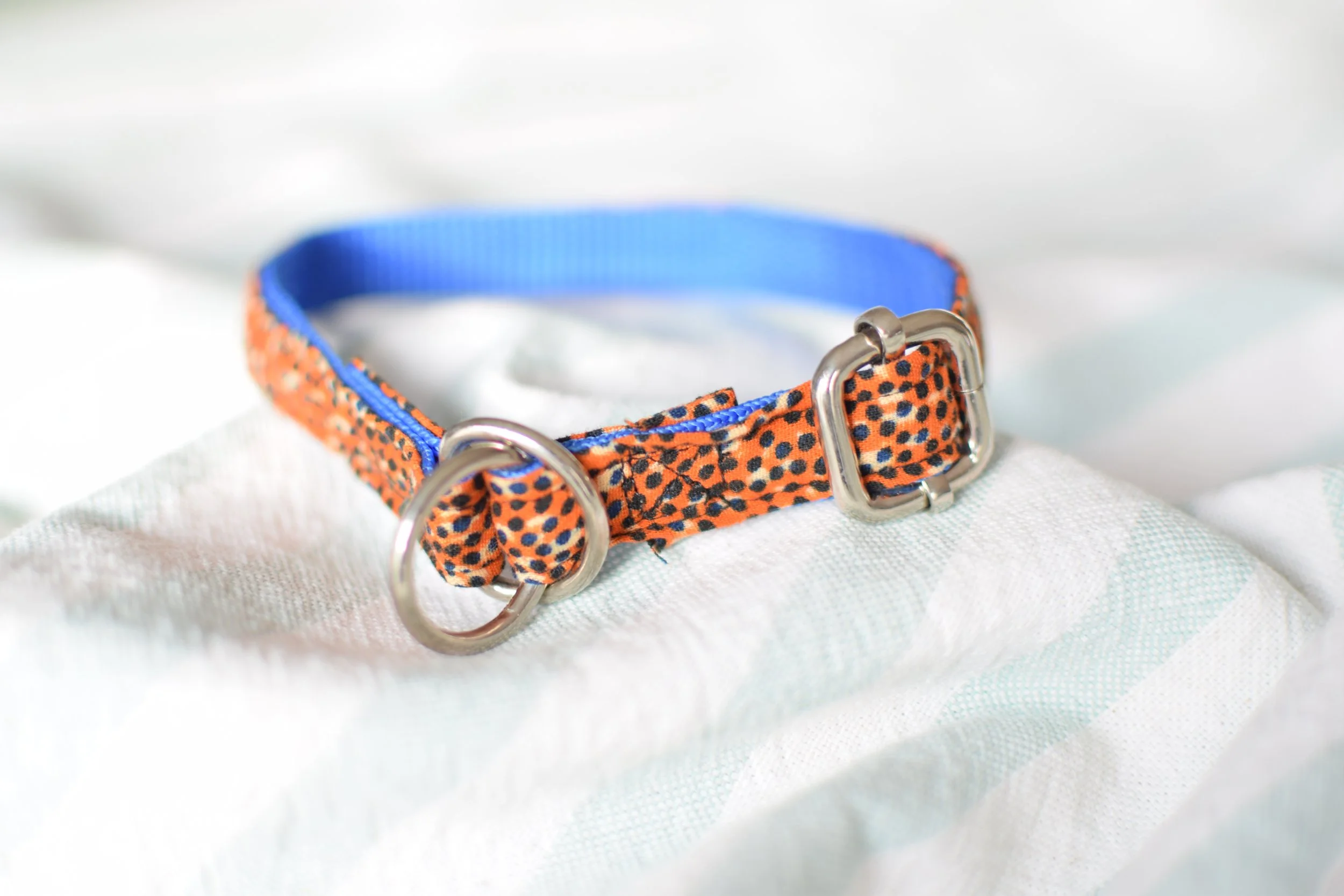 Sprinkled Sunset DSC_0252.JPG