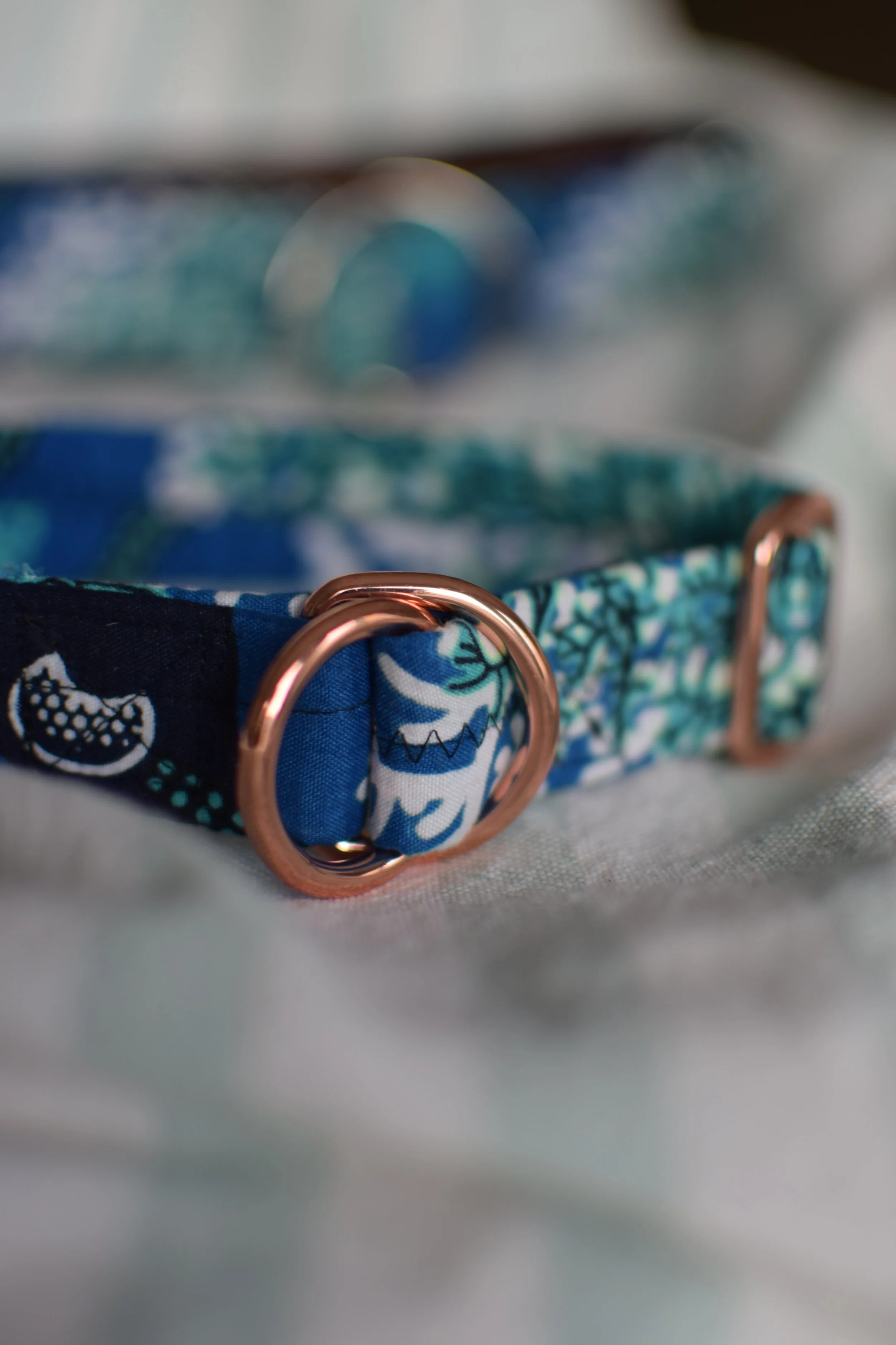 underwater DSC_0482.JPG