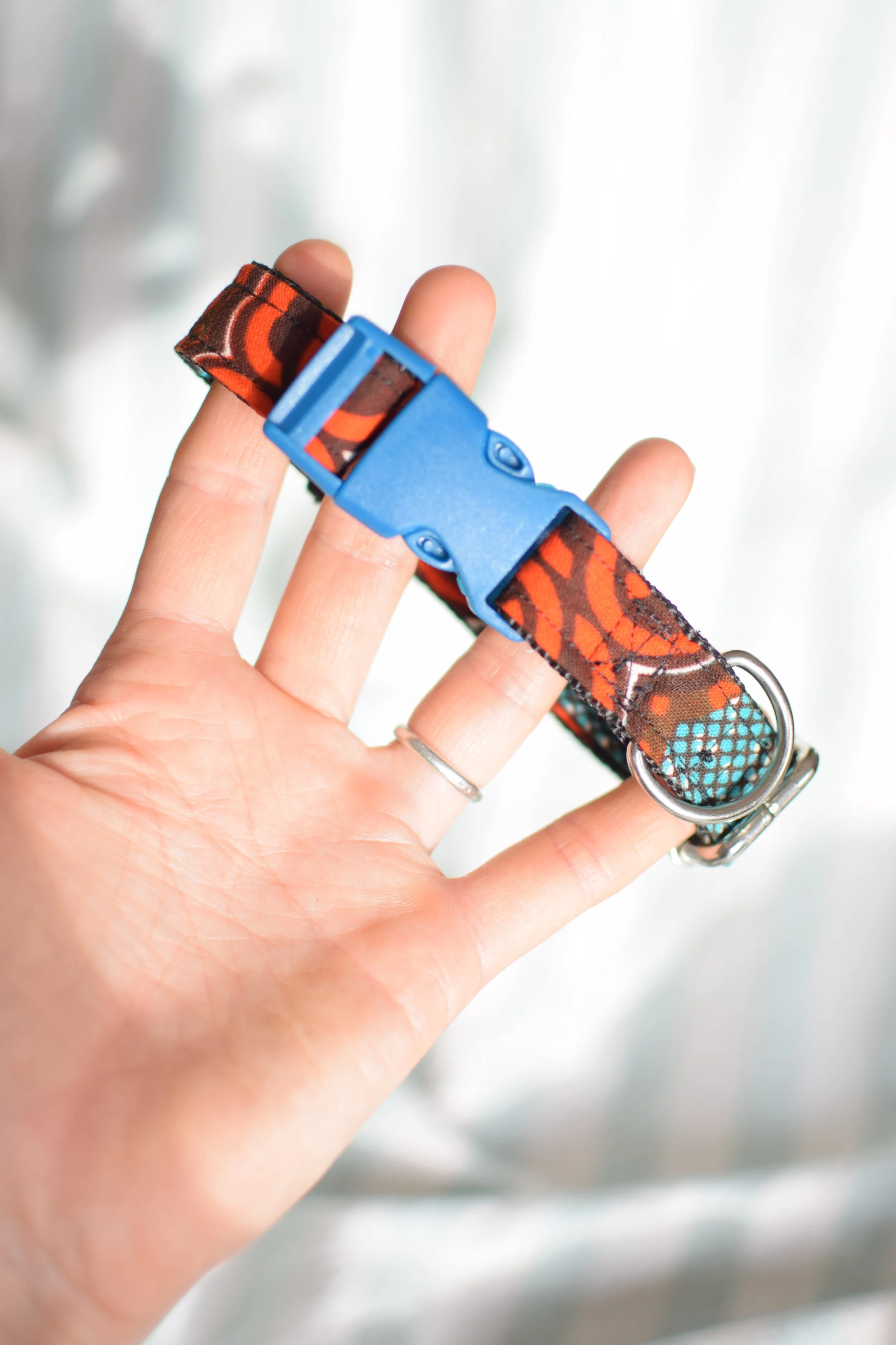 retro reef DSC_0327.JPG