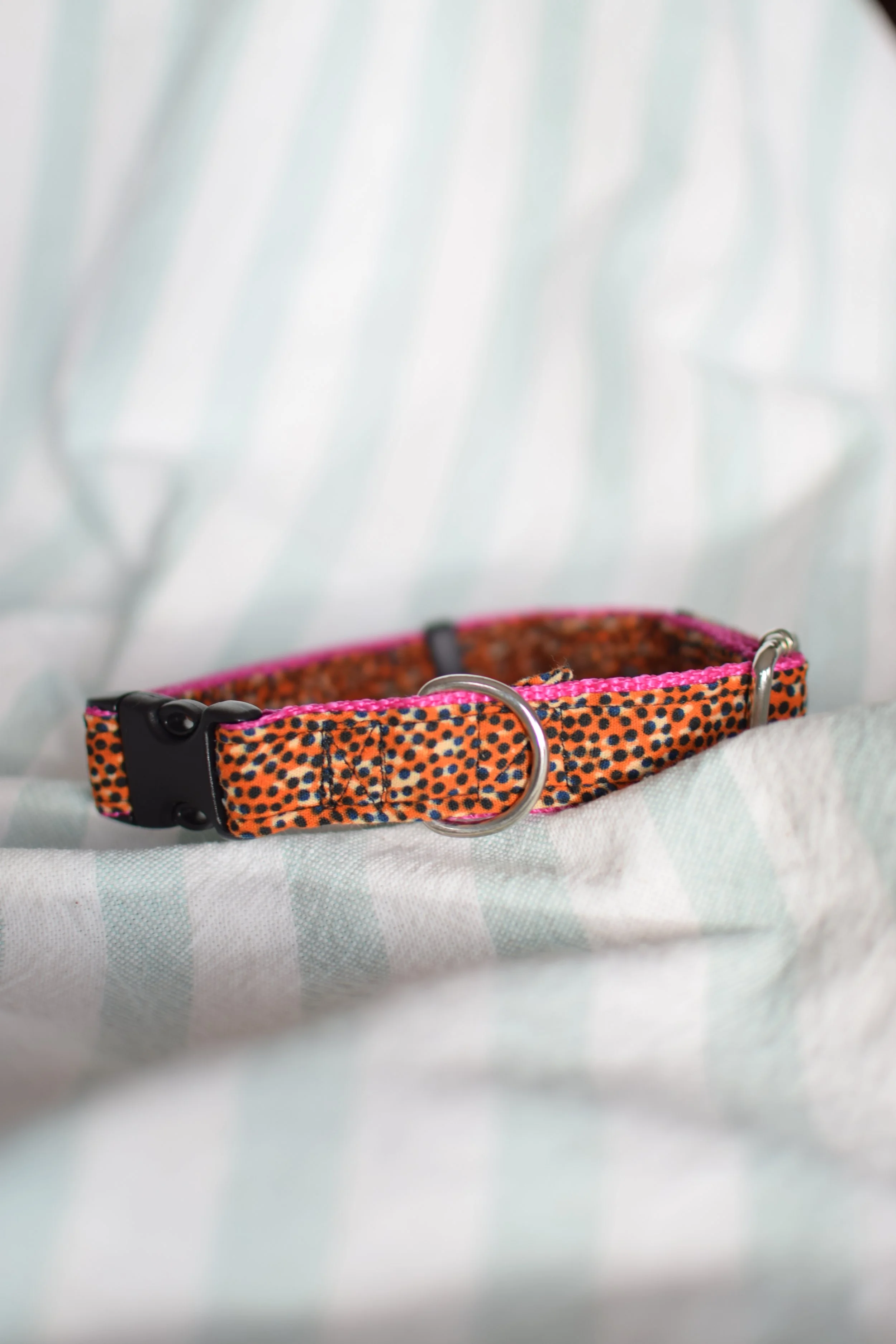 Sprinkled Sunset DSC_0335.JPG