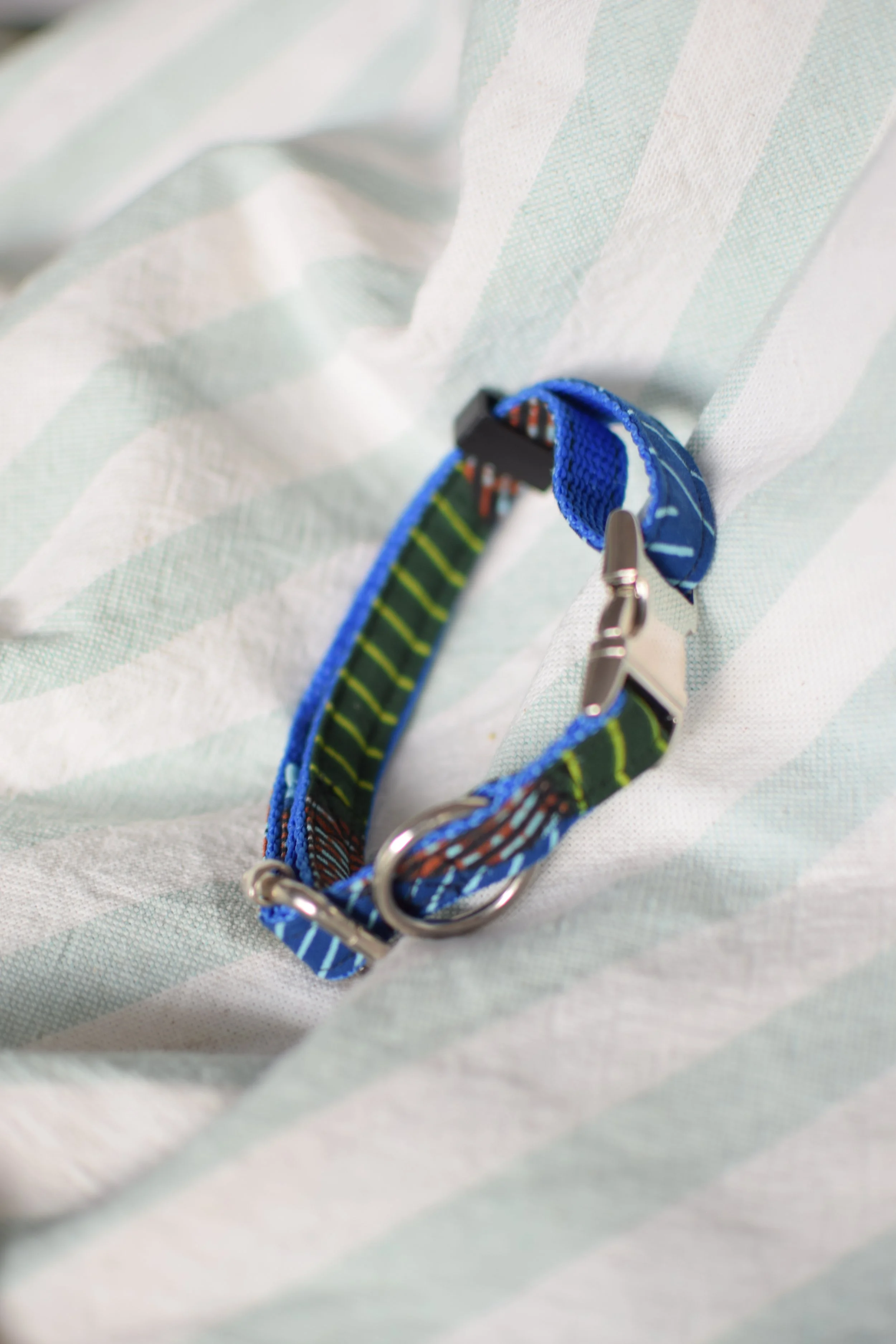 green desert DSC_0387.JPG