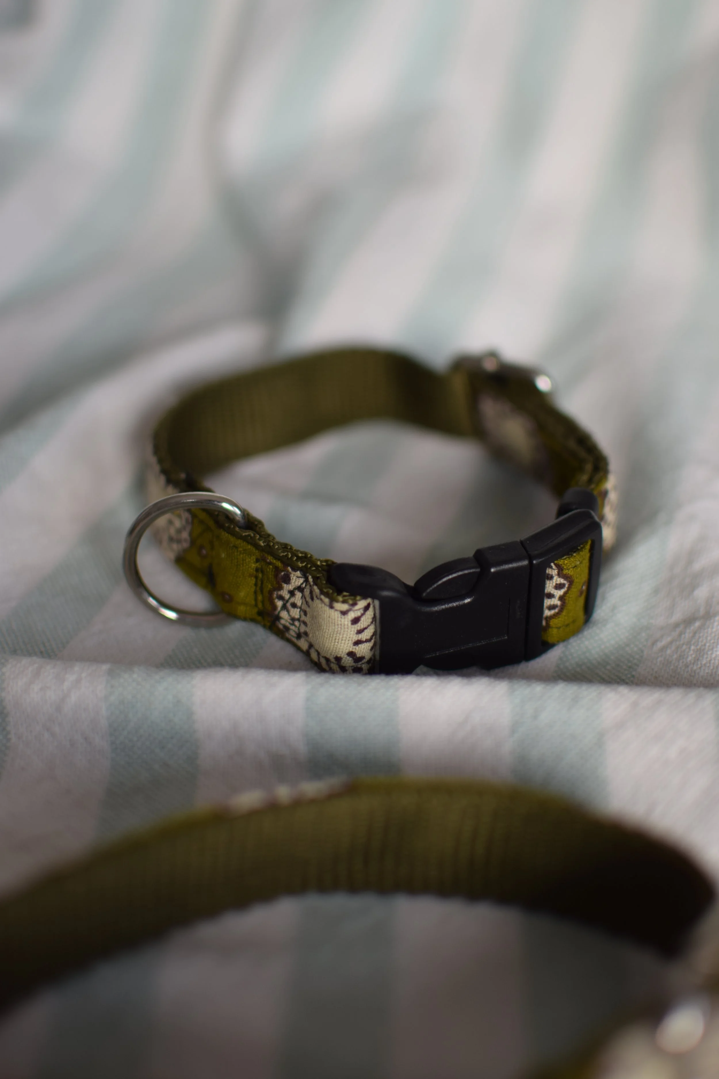 moss green collar DSC_0423.JPG