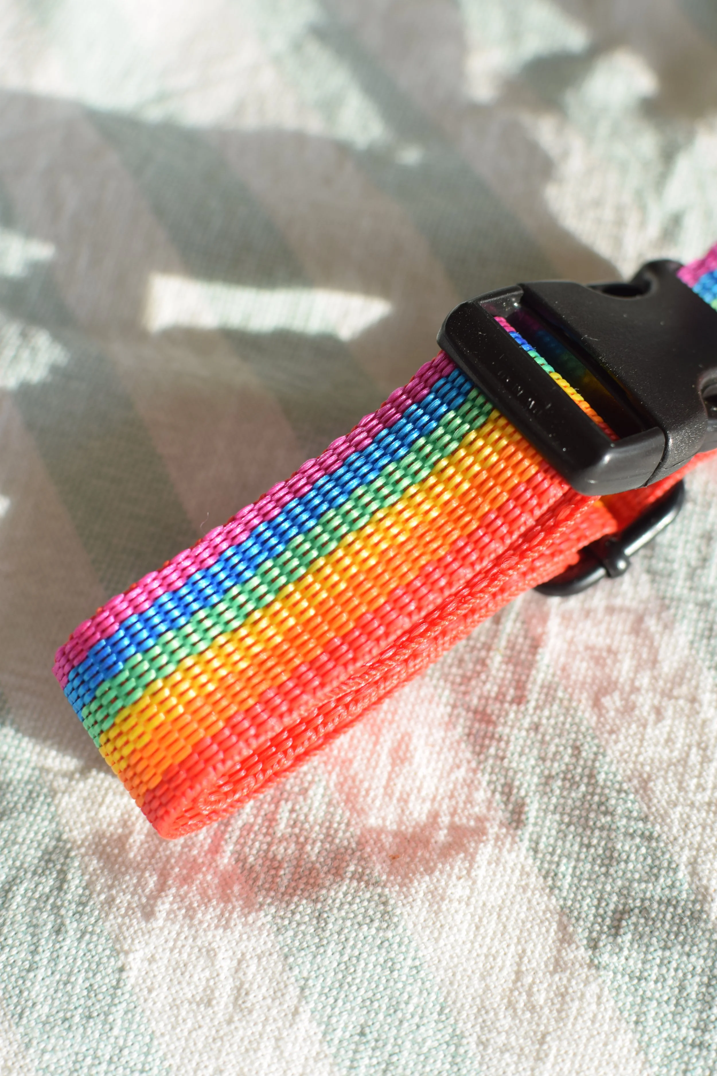 rainbow collar DSC_0300.JPG