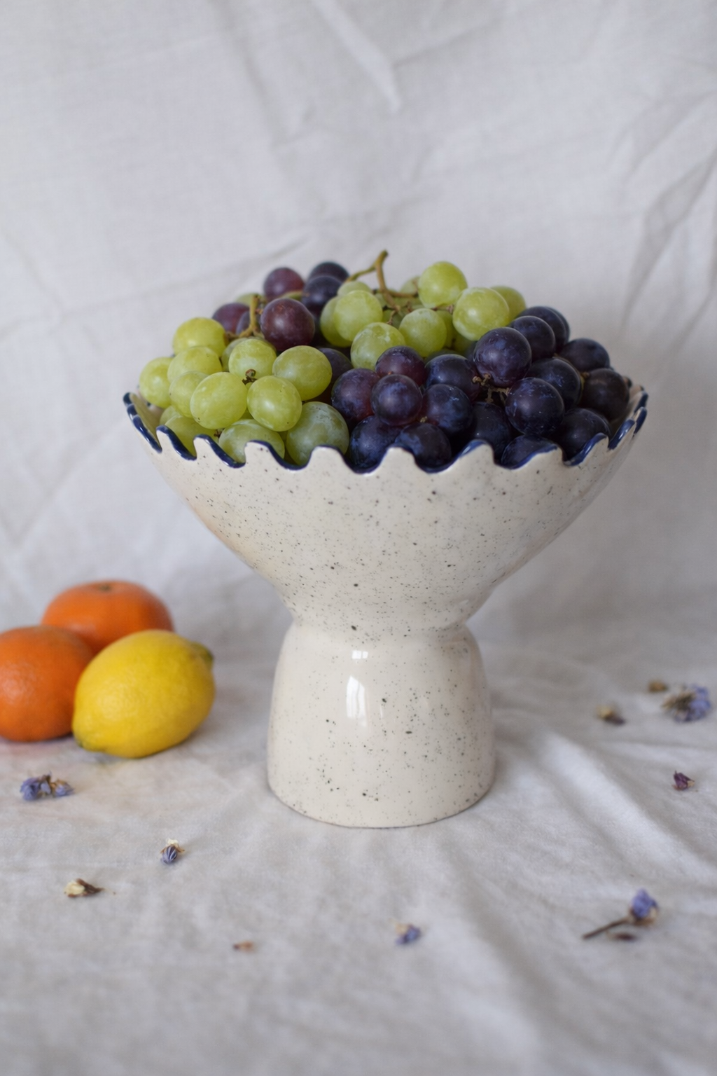Vase 19_02_2026, 20_40_48.png