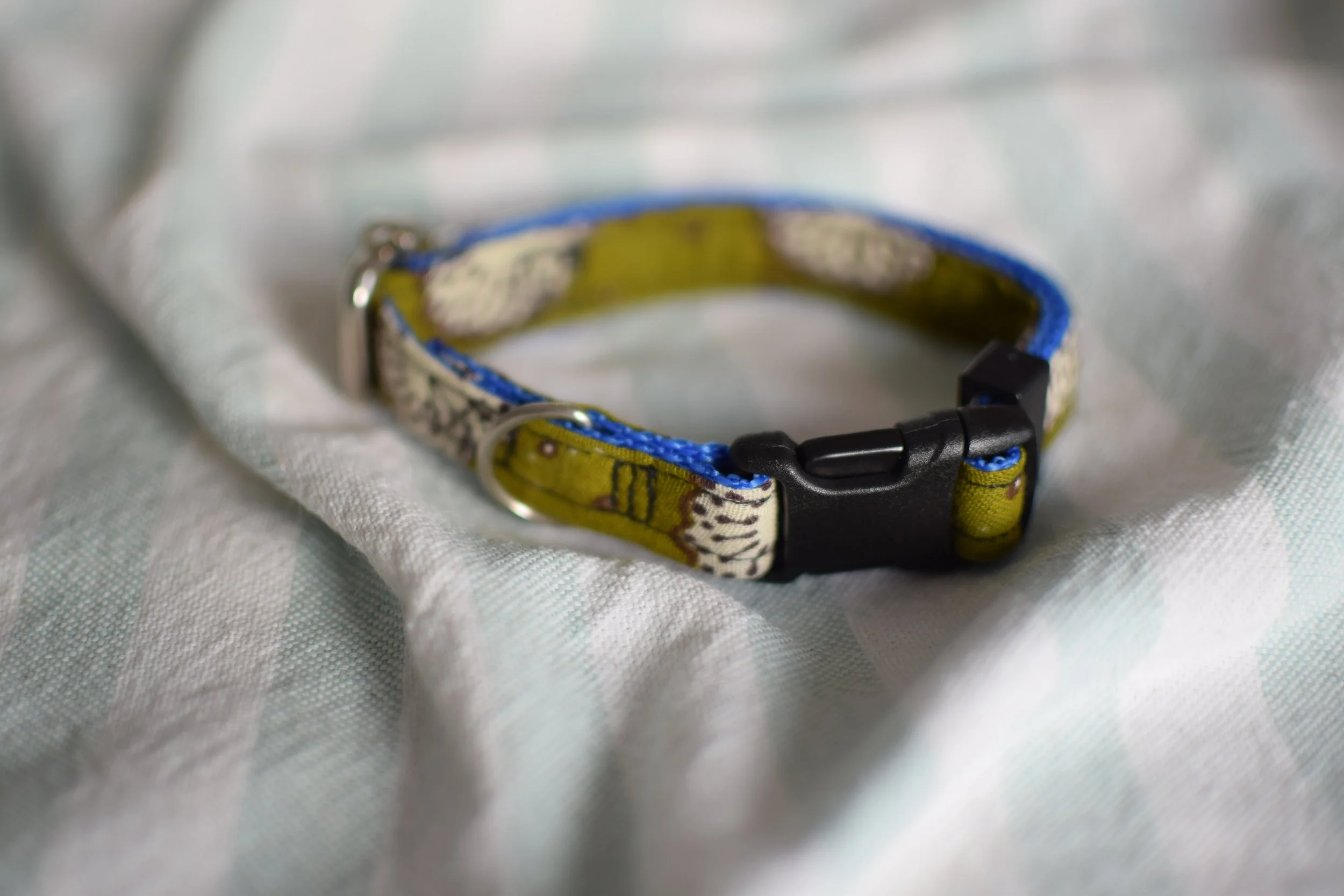 moss green collar DSC_0403.JPG