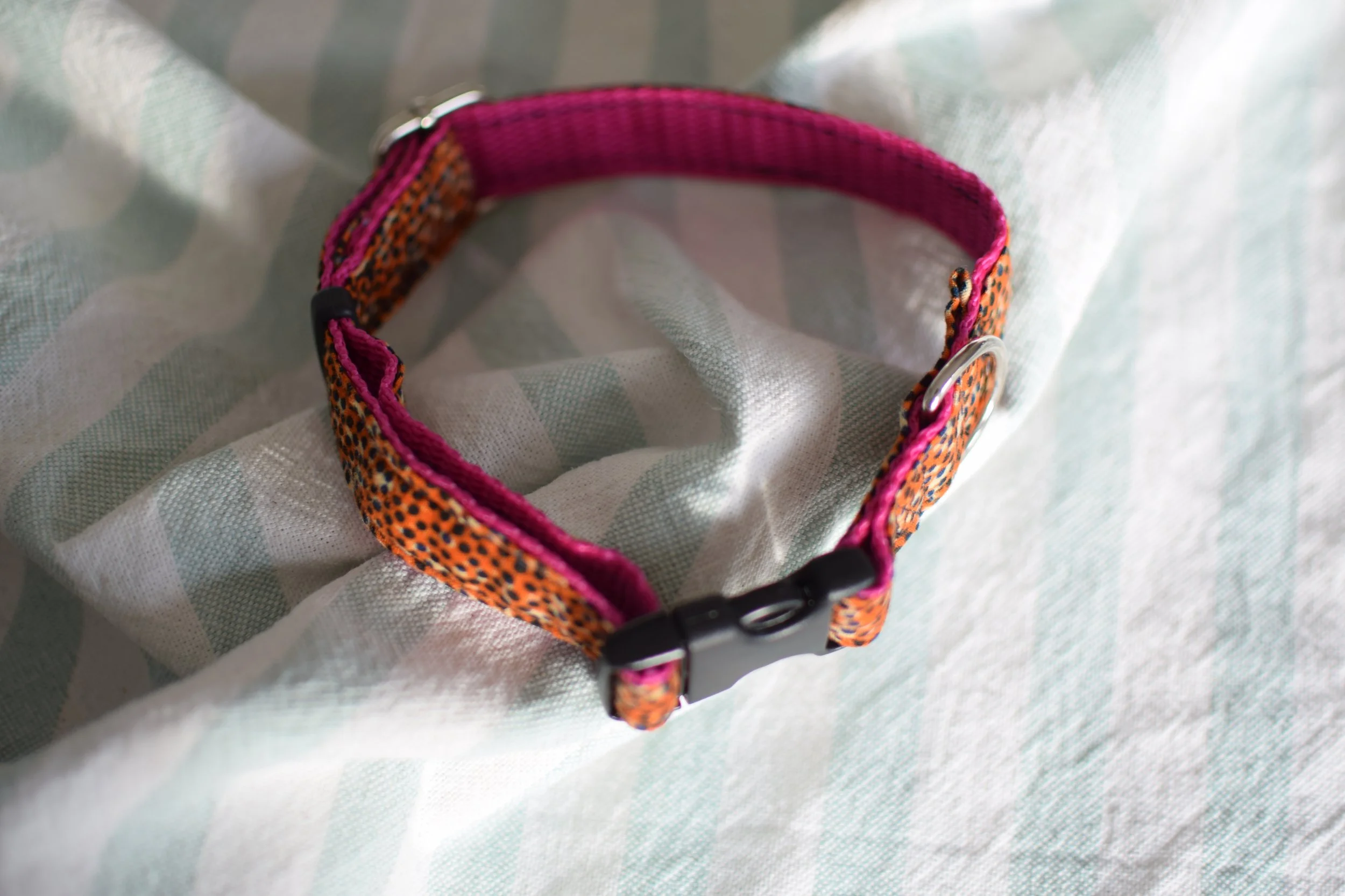 Sprinkled Sunset DSC_0313.JPG