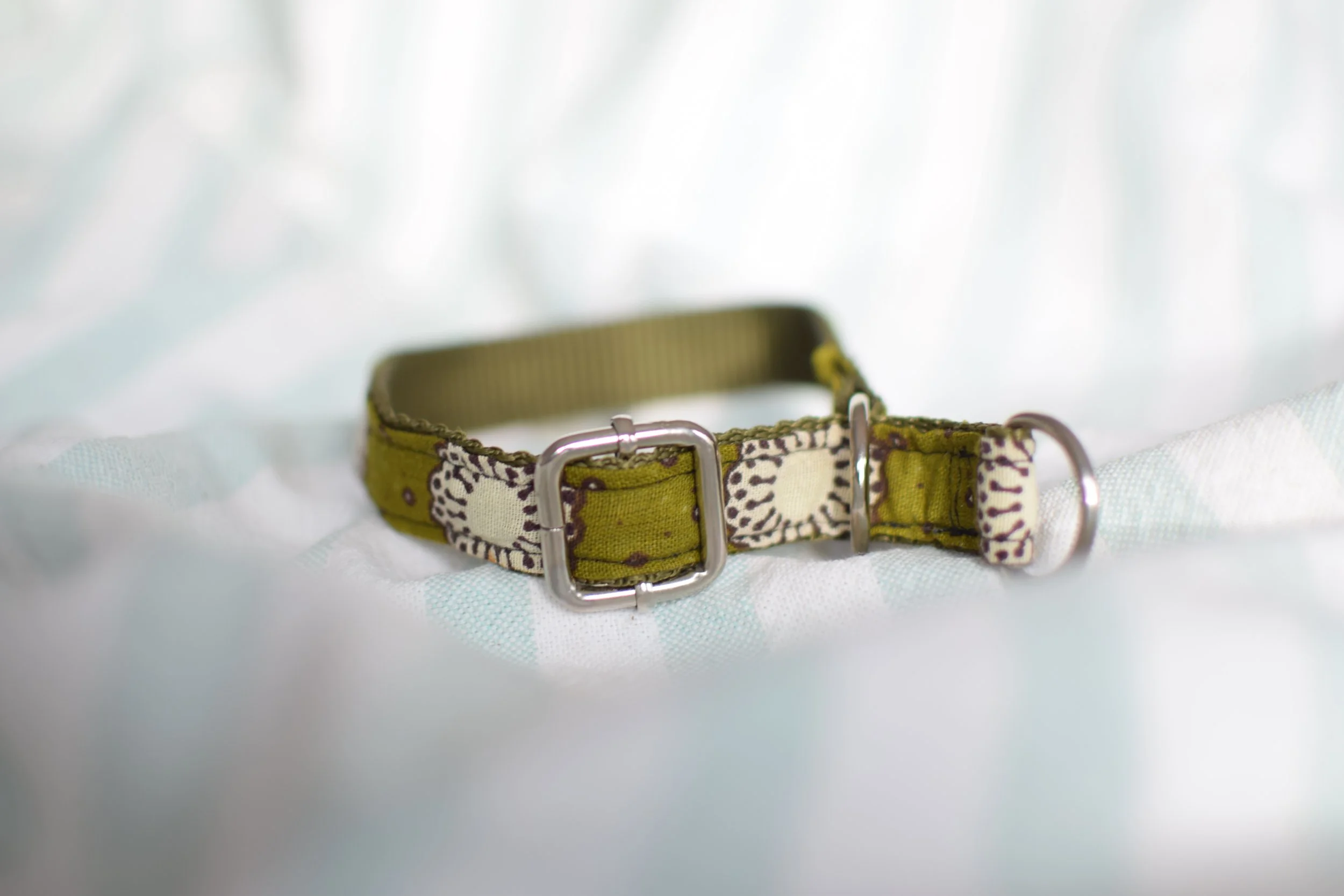 moss green collar DSC_0321.JPG