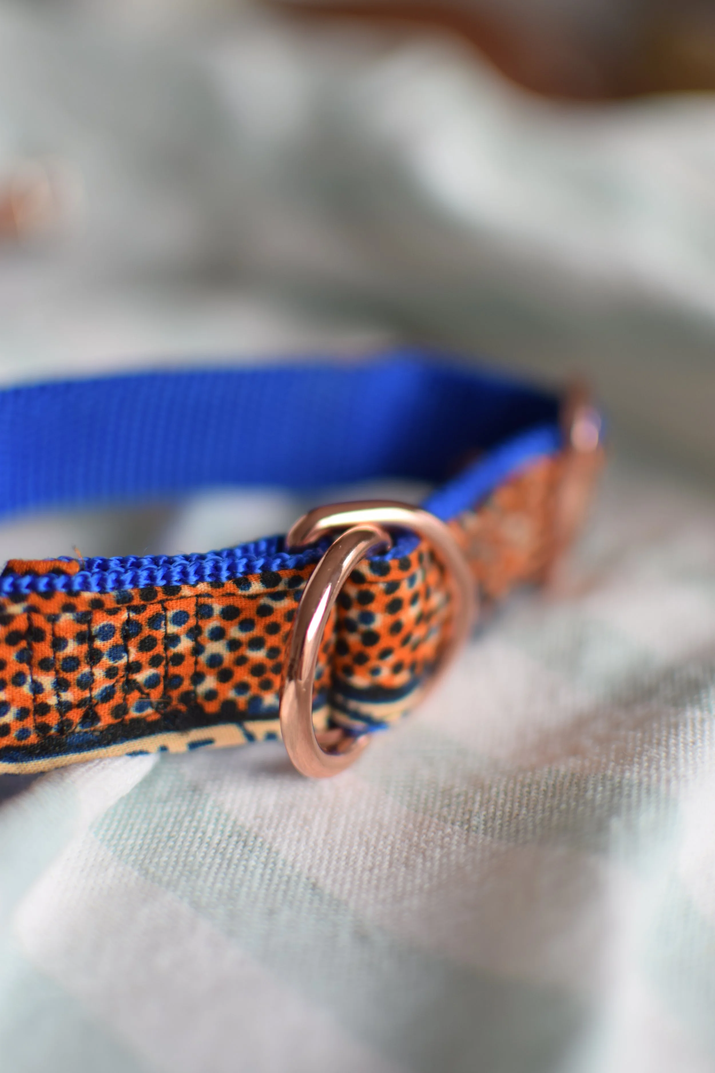 Sprinkled Sunset DSC_0438.JPG