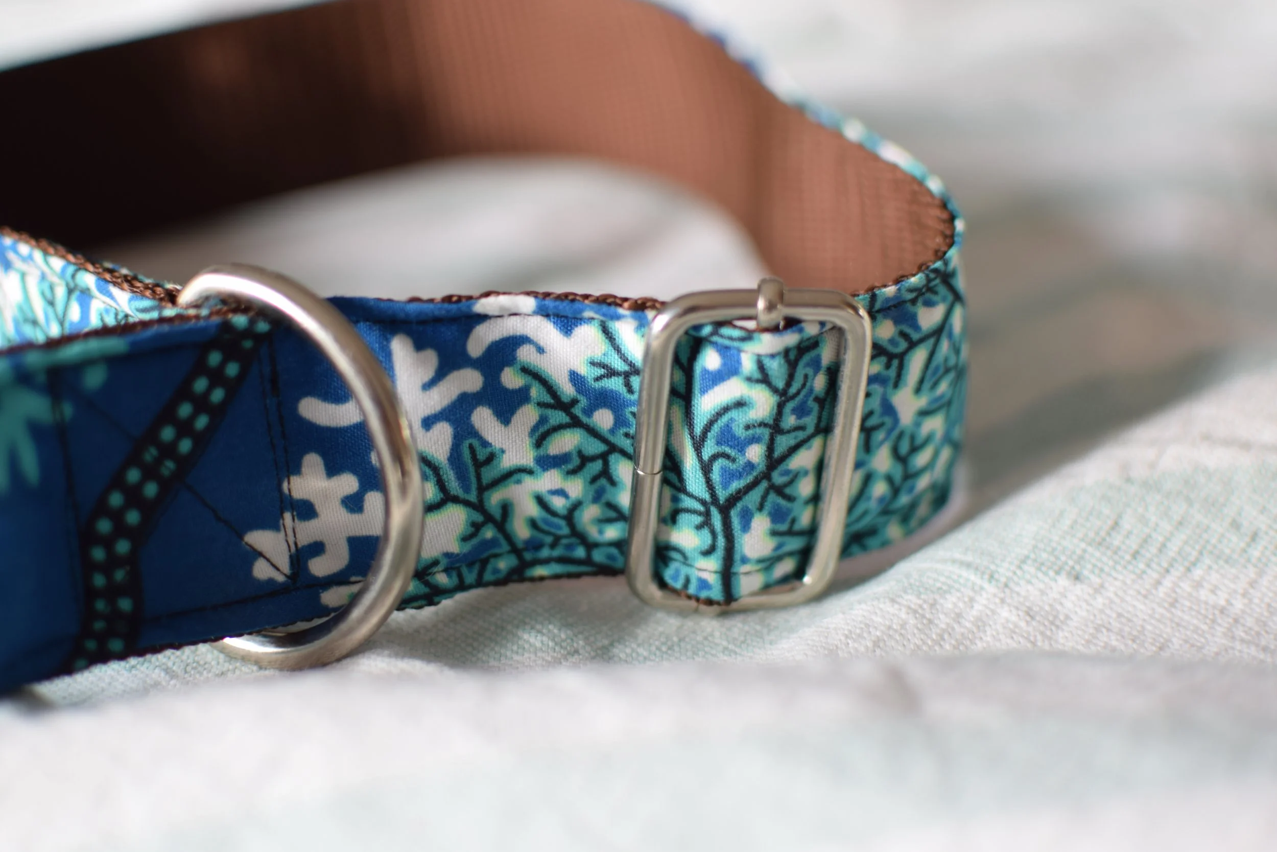 underwater DSC_0267.JPG