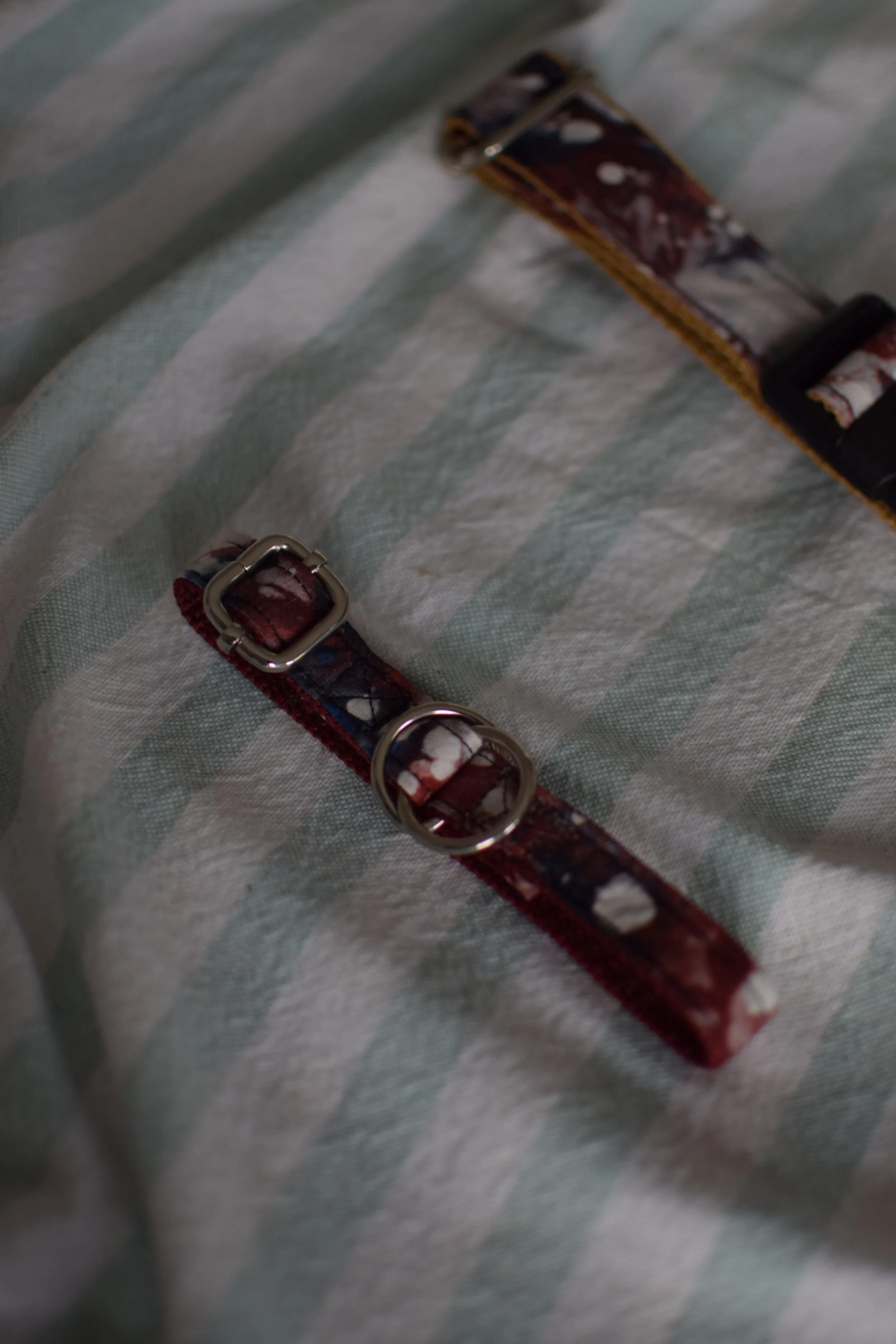 cosmos collar DSC_0510.JPG