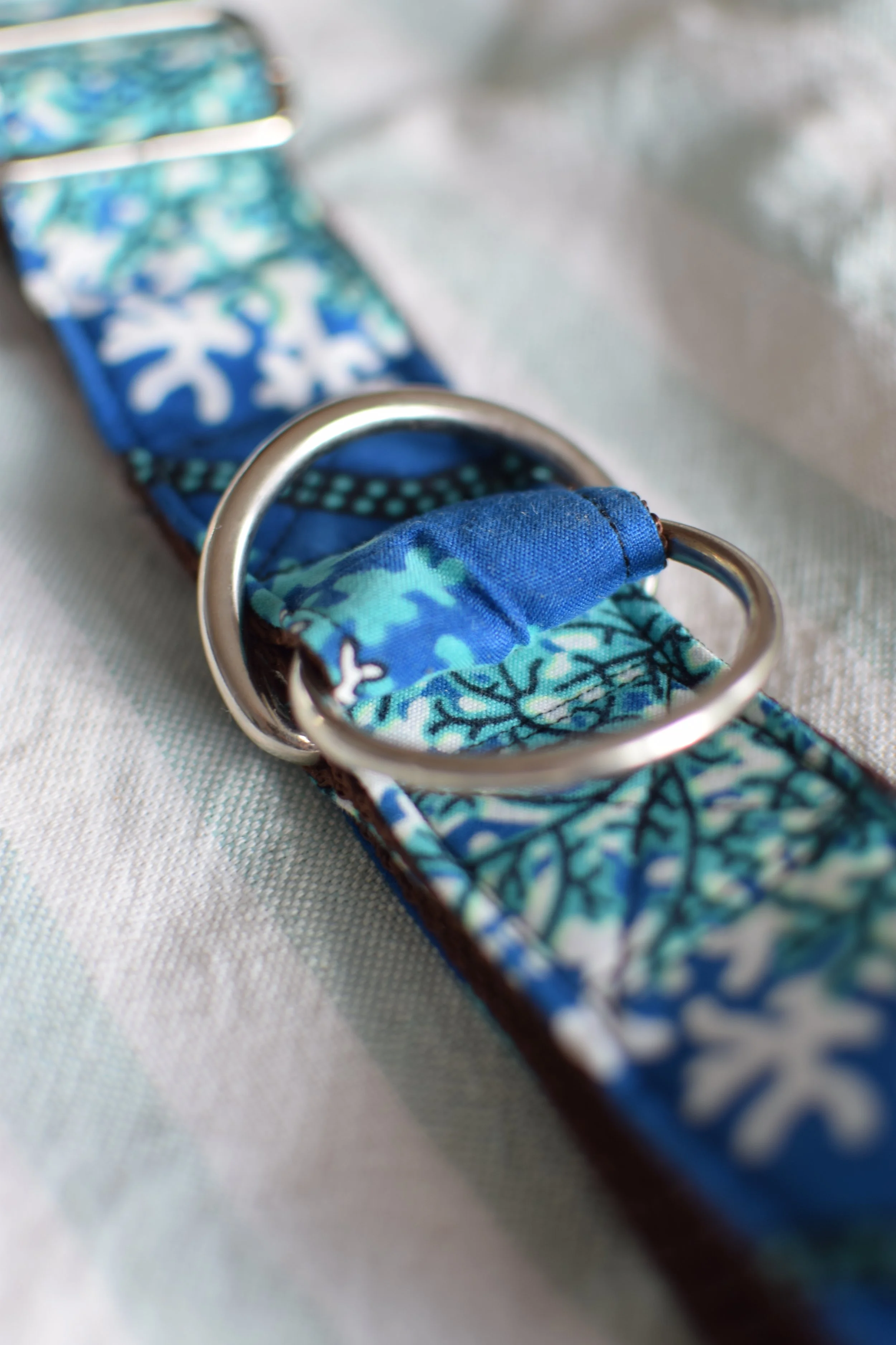 underwater DSC_0262.JPG