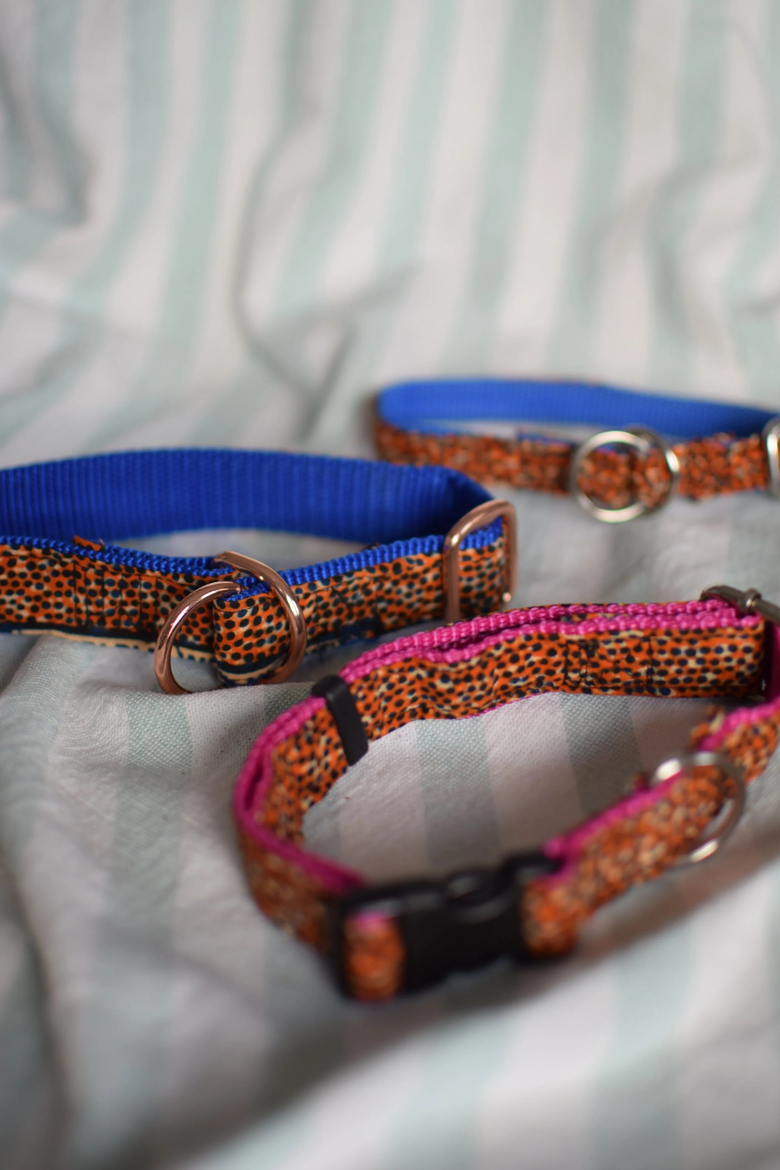 Sprinkled Sunset DSC_0434.JPG