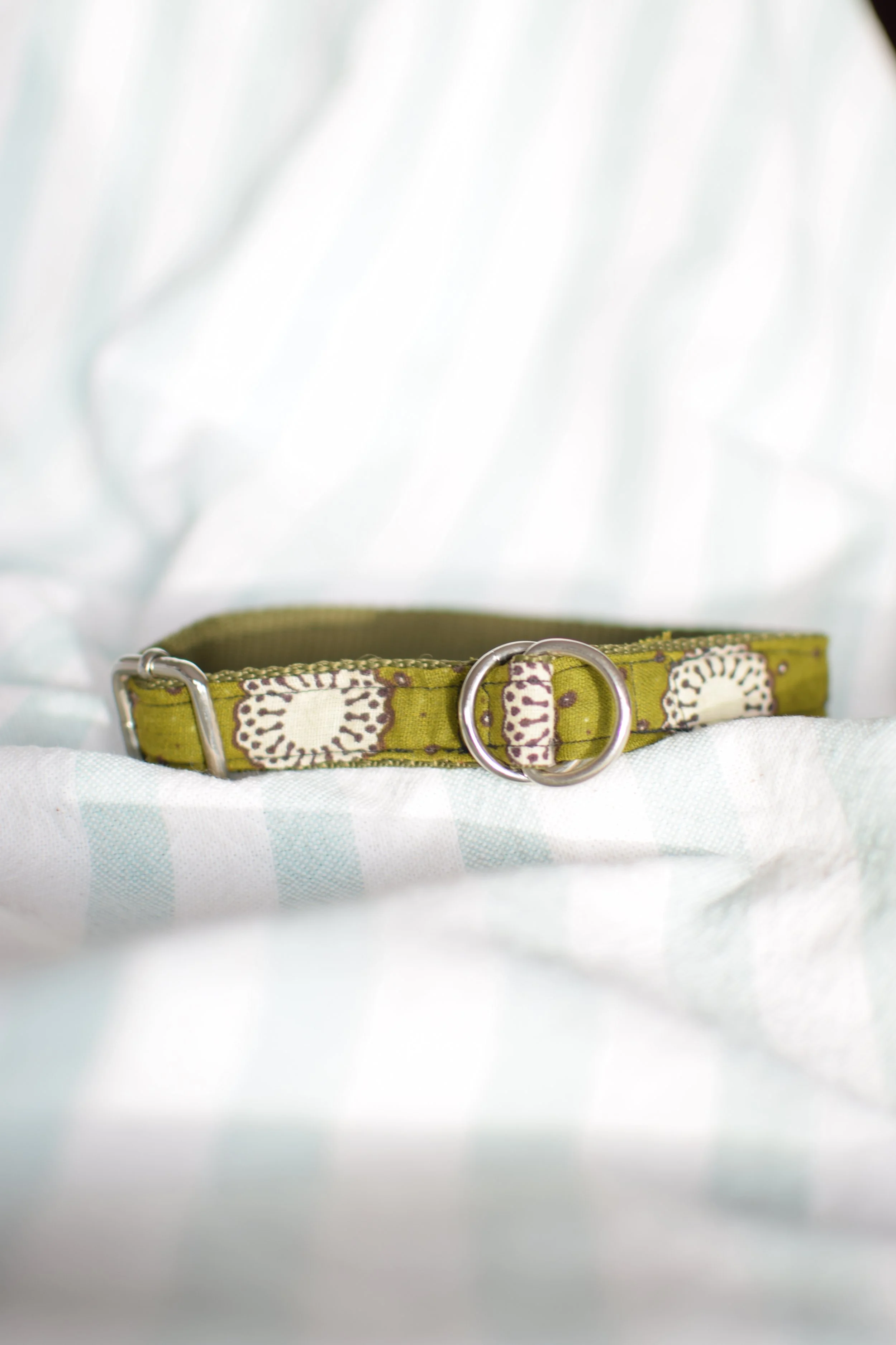 moss green collar DSC_0322.JPG