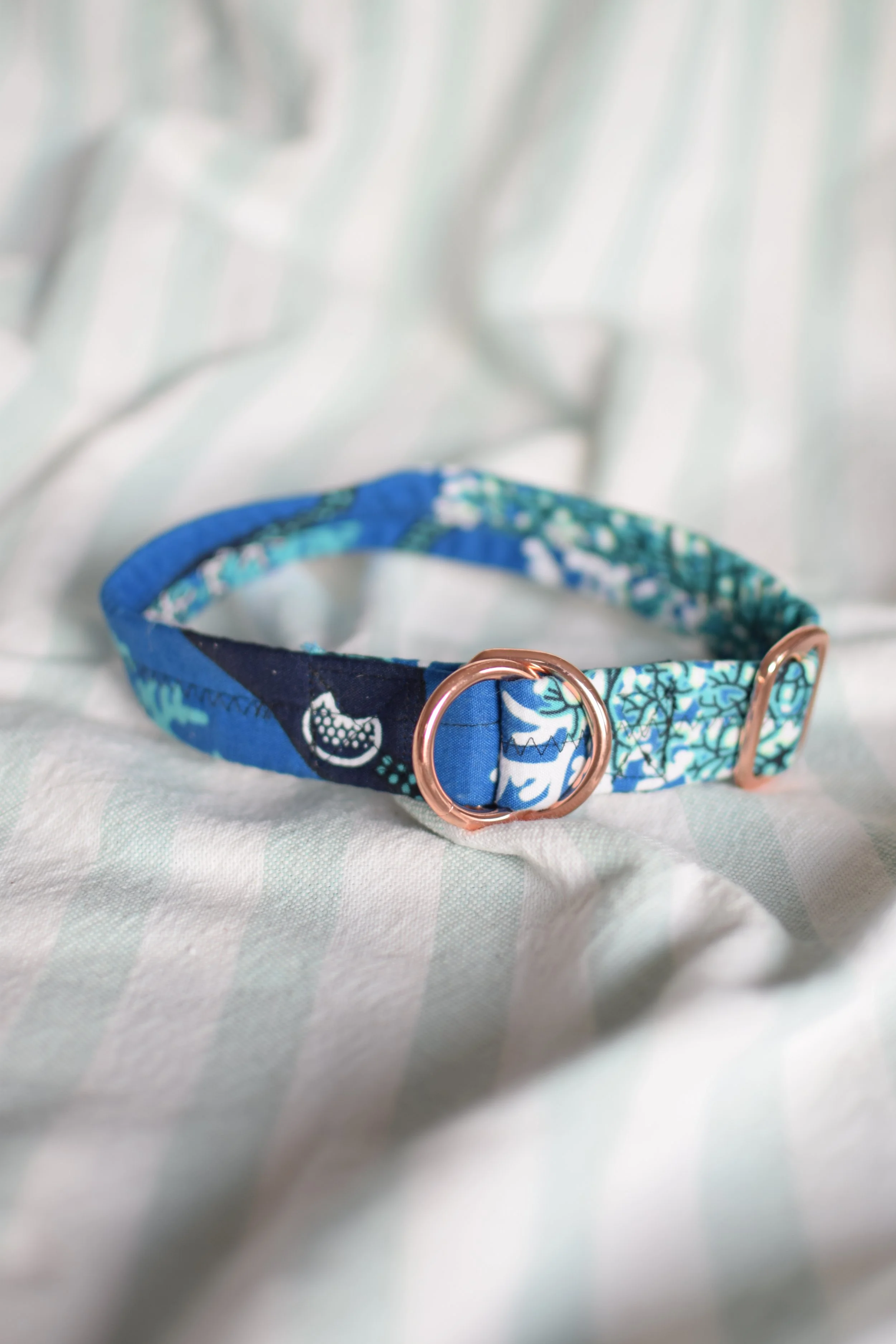 underwater DSC_0367.JPG