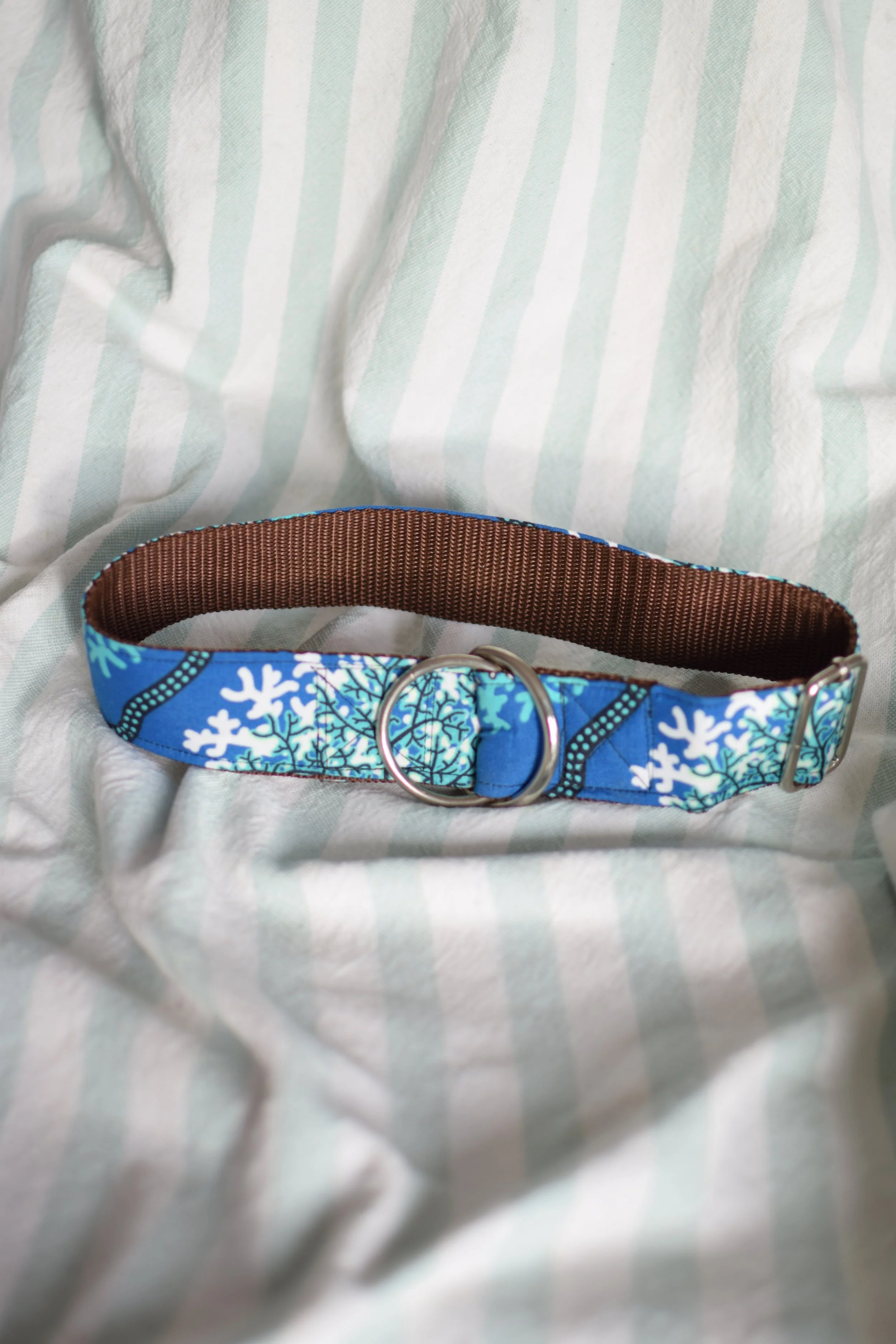 underwater DSC_0349.JPG