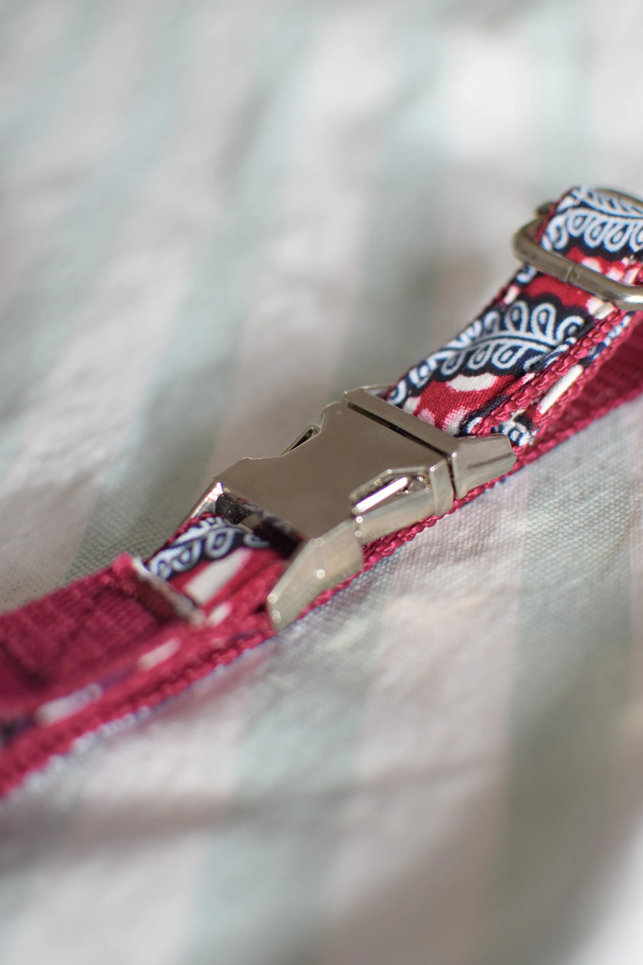 Midnight Date DSC_0271.JPG