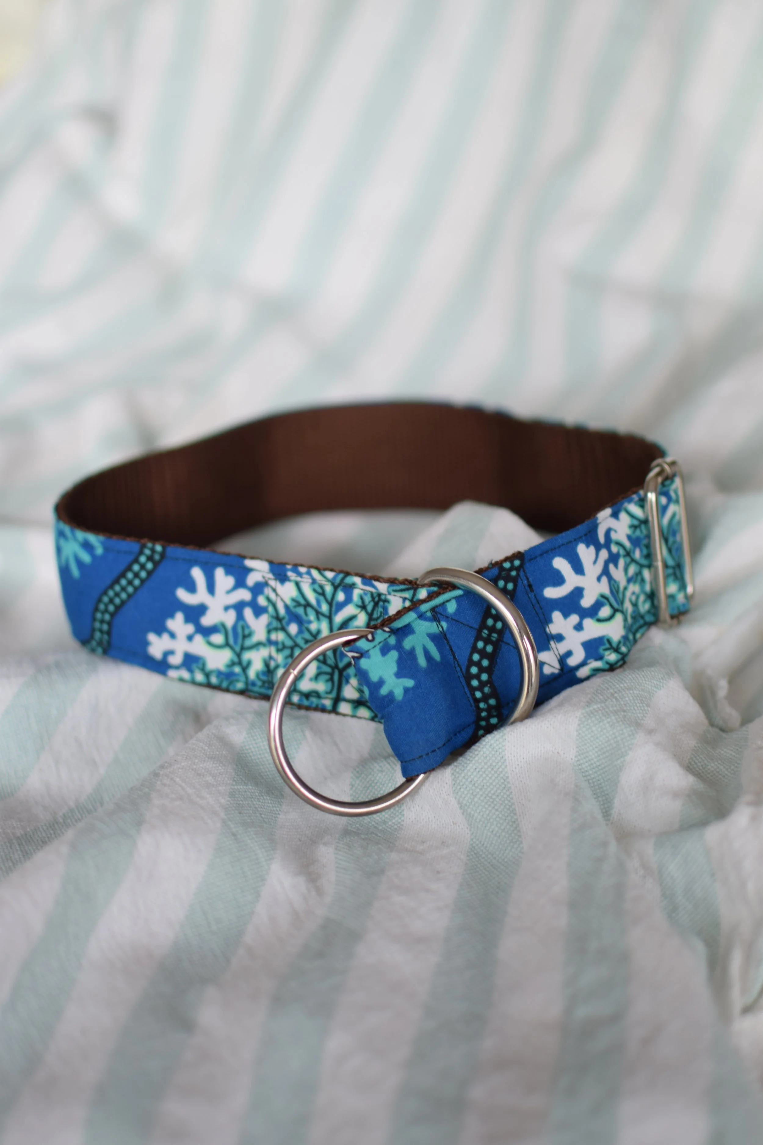 underwater DSC_0347.JPG