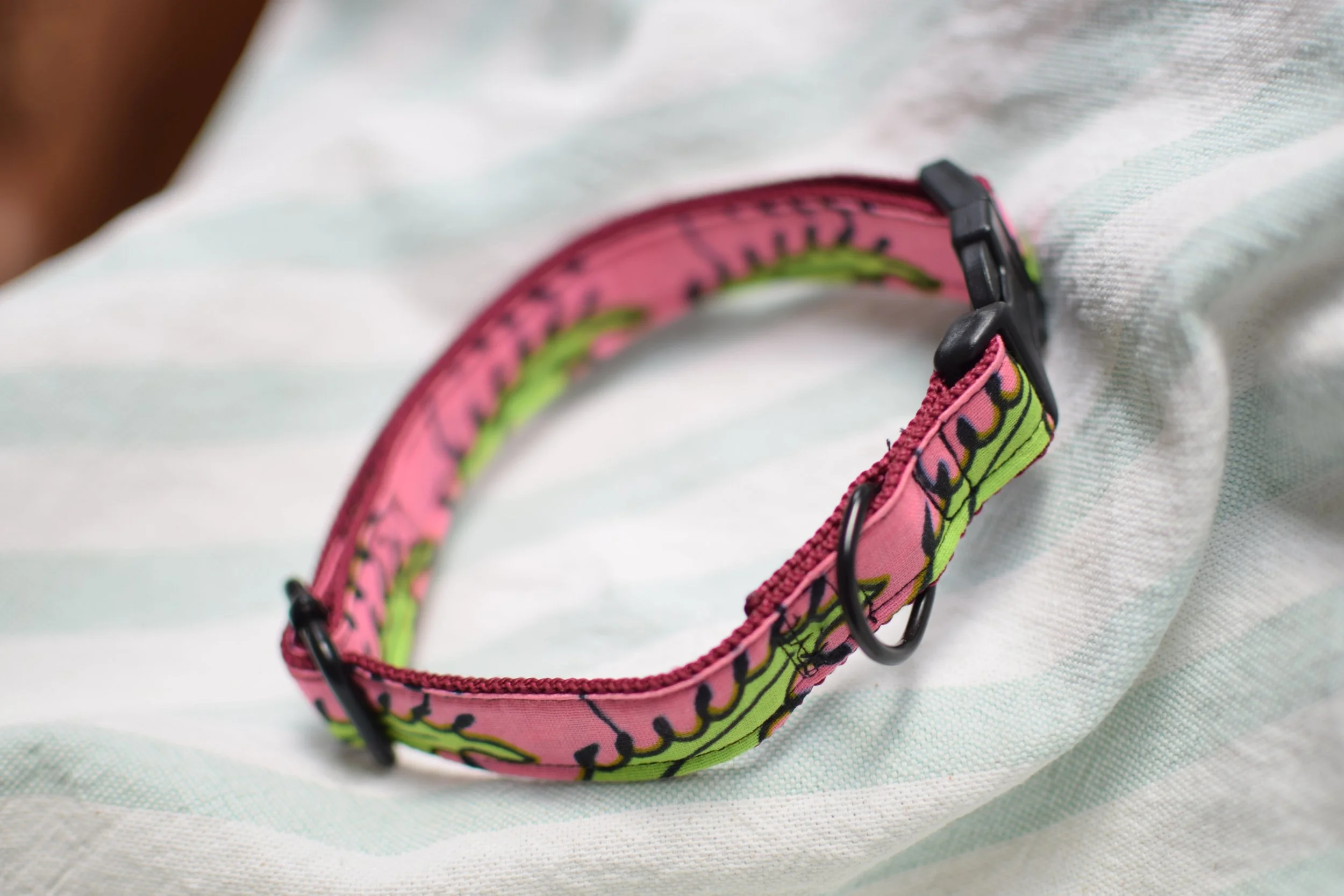 Neon Garden DSC_0380.JPG