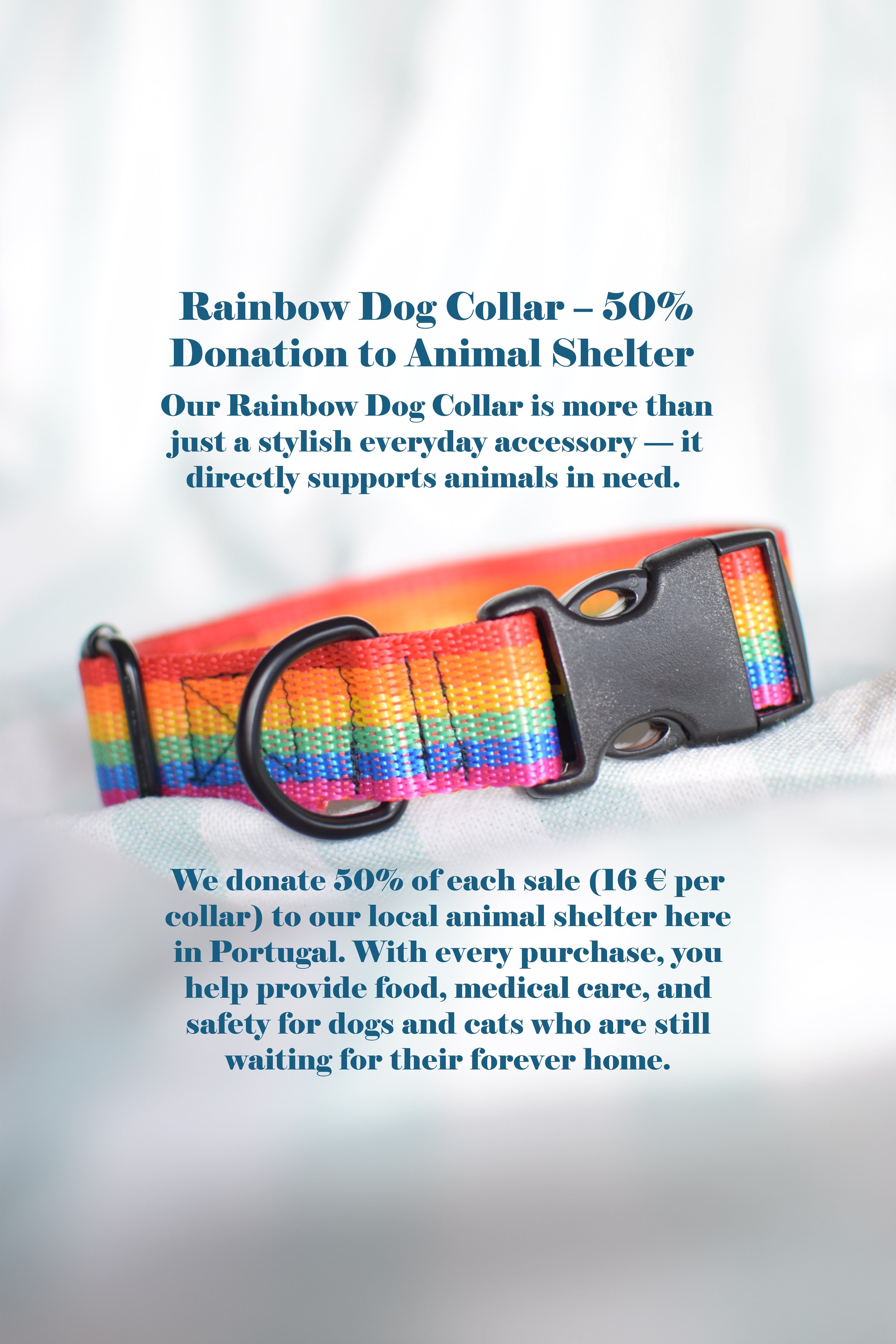 rainbow collar text.JPG