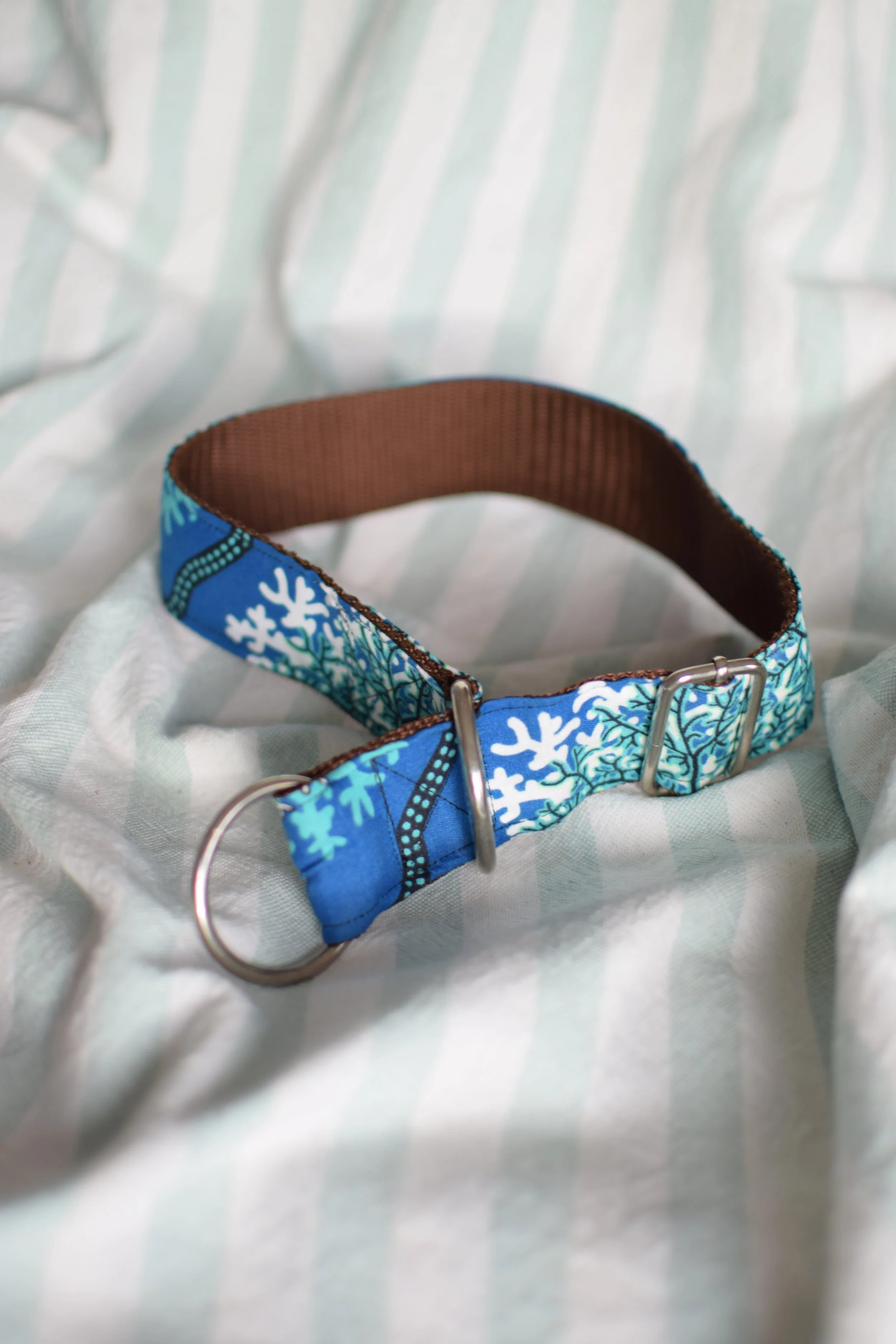 underwater DSC_0348.JPG