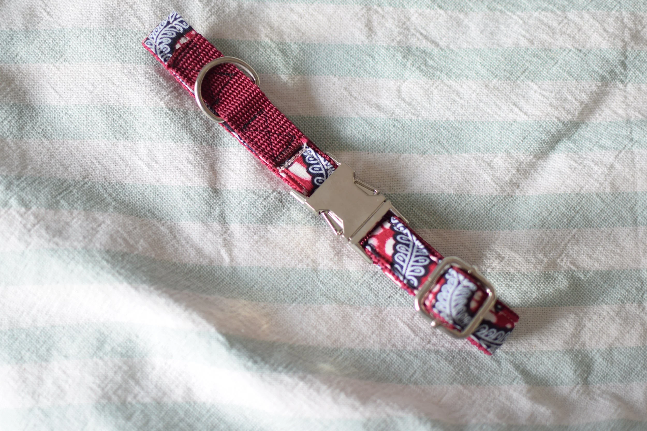 Midnight Date DSC_0272.JPG