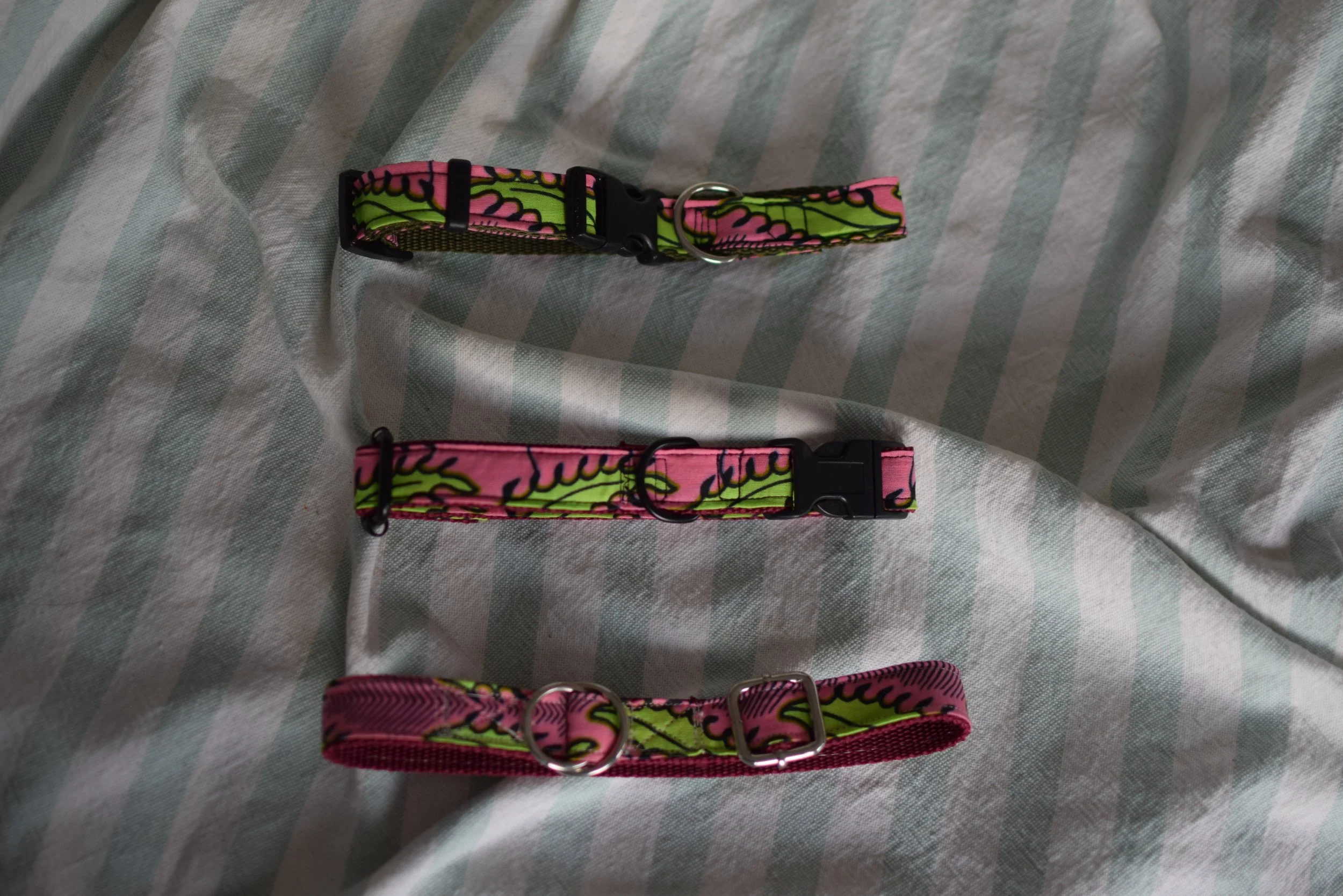 Neon Garden DSC_0454.JPG